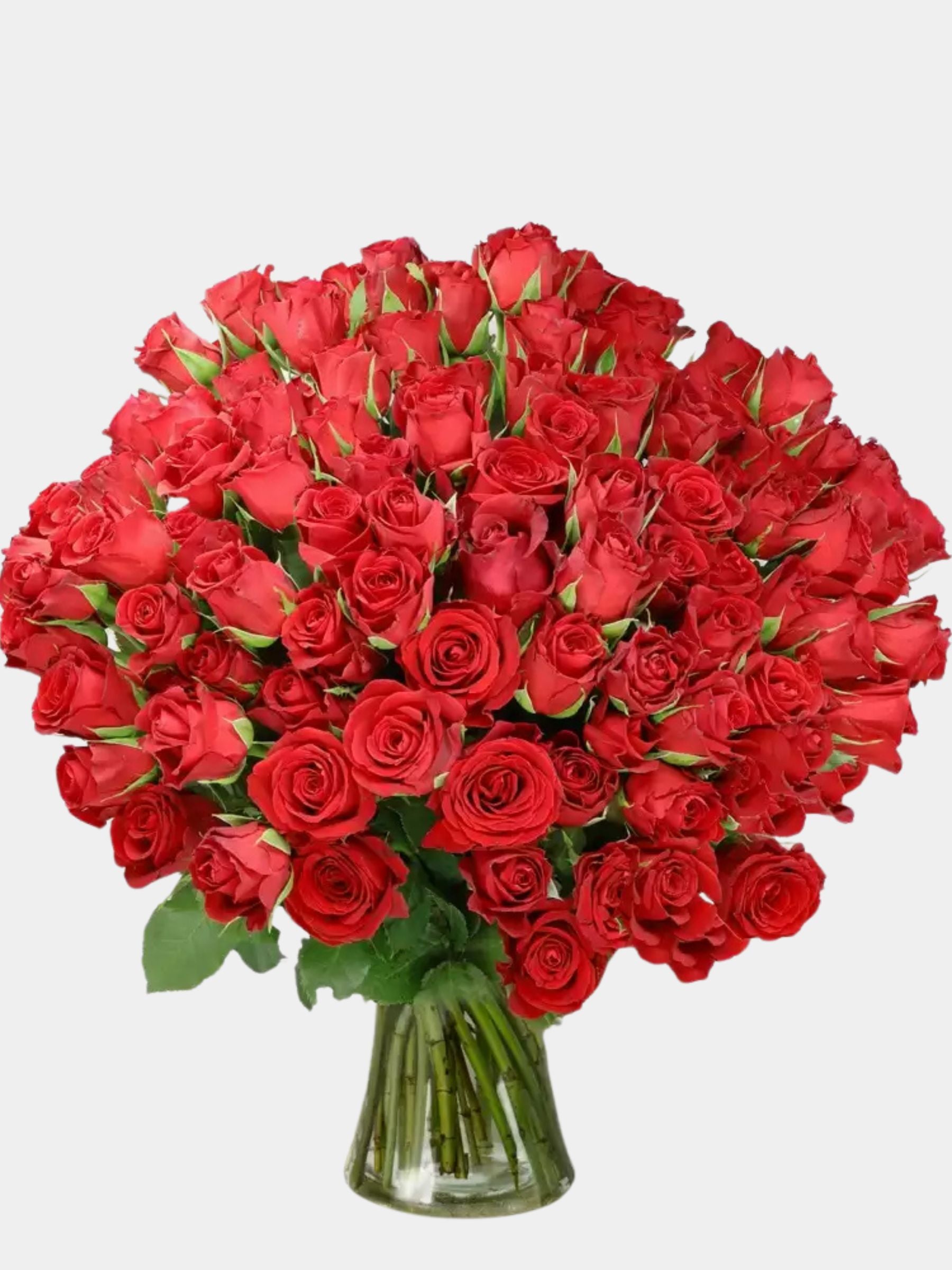 100 Luxury Red Roses