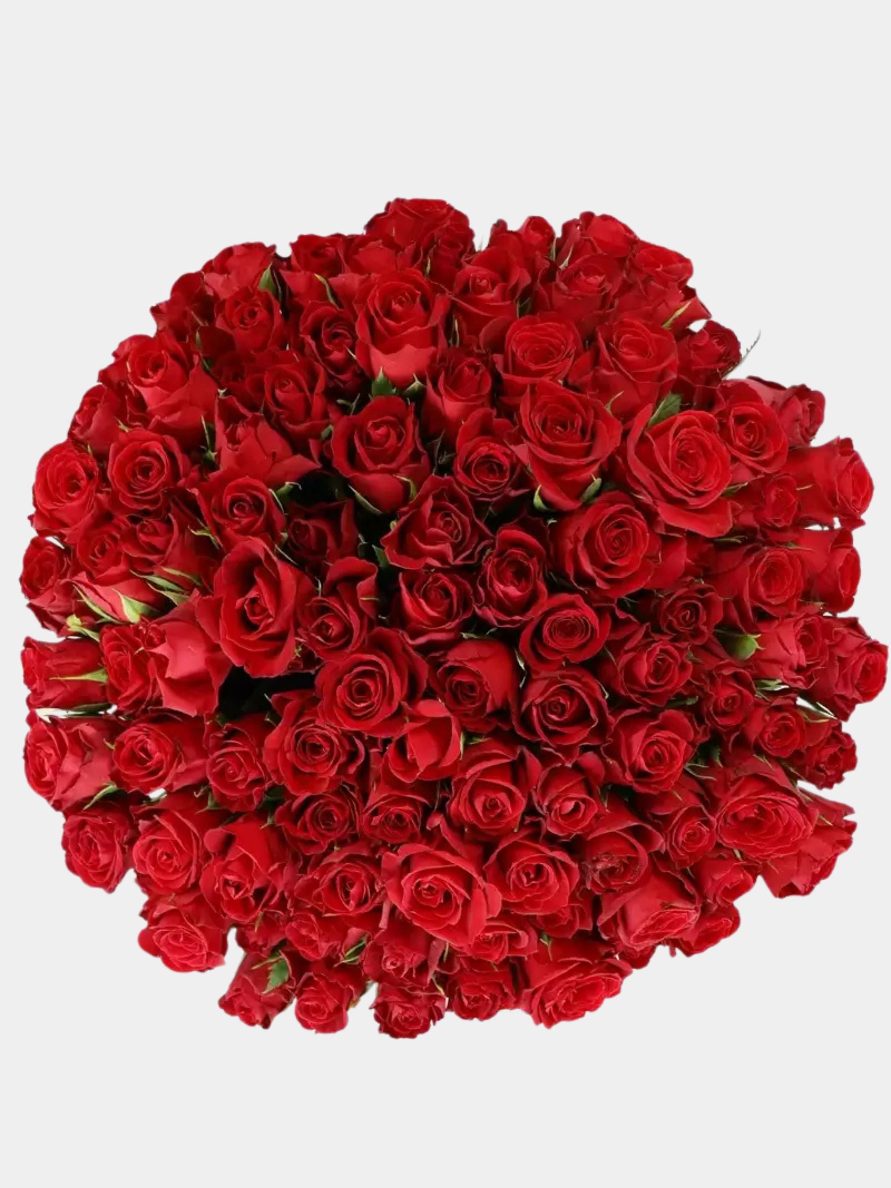 100 Luxury Red Roses