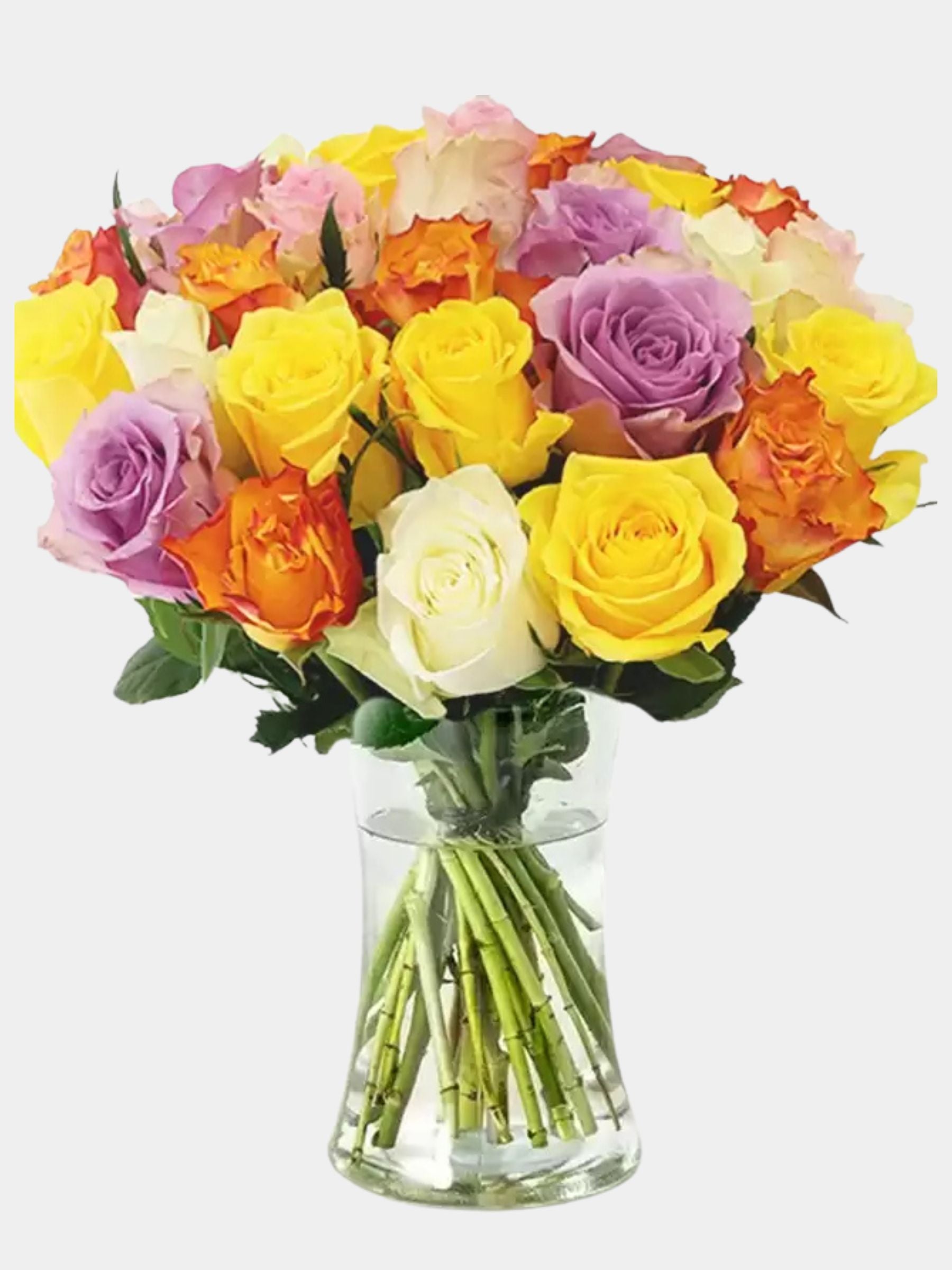 100 Luxury Rose Medley