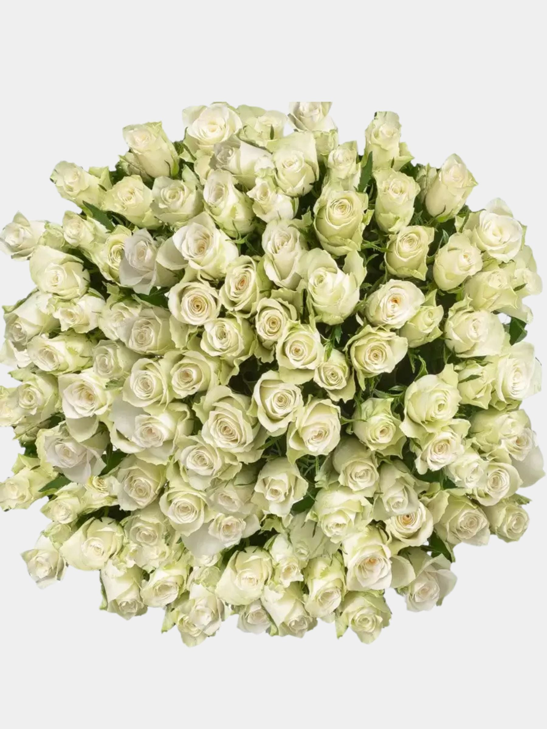 100 Luxury White Roses