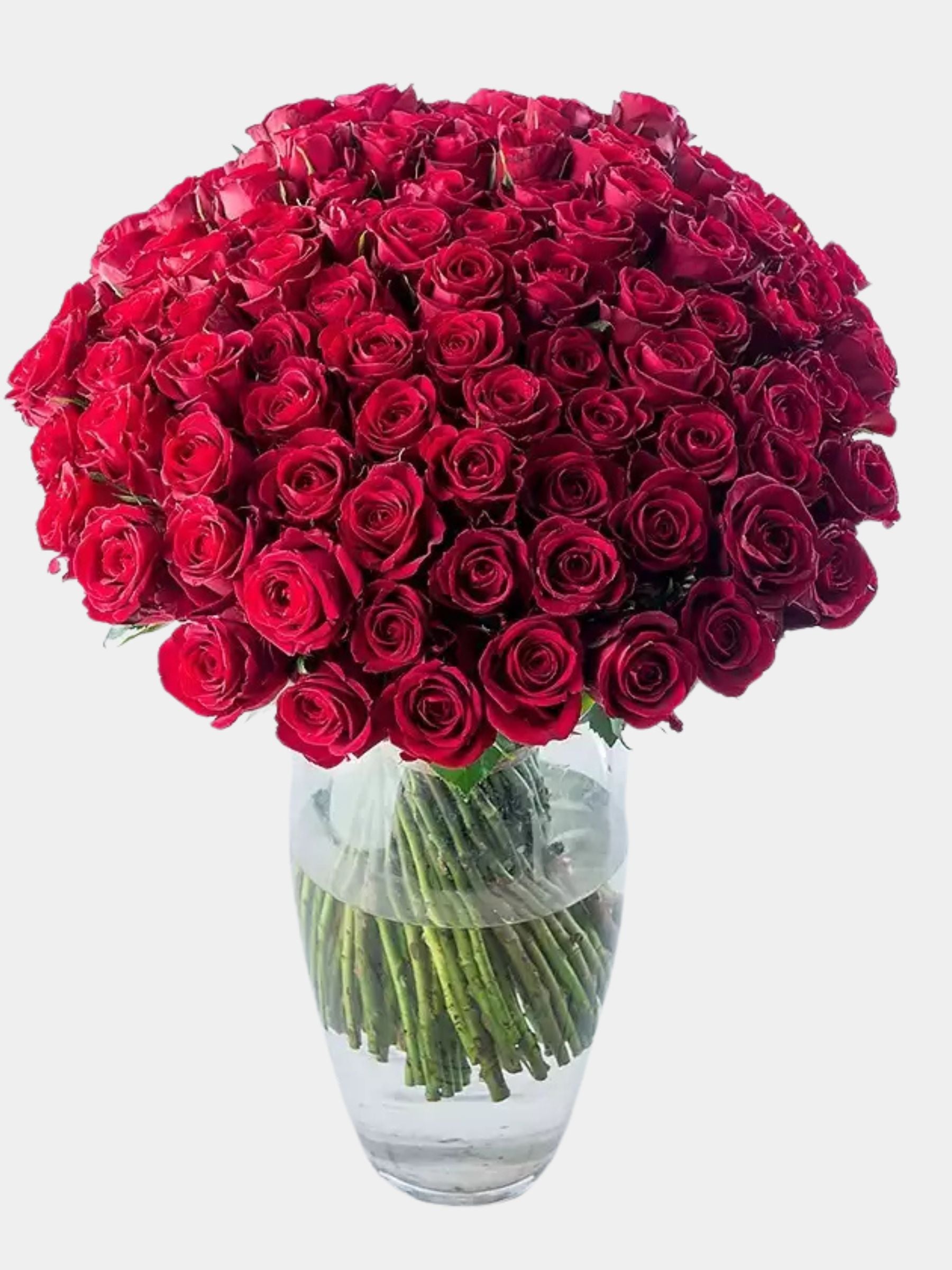 200 Luxury Red Roses