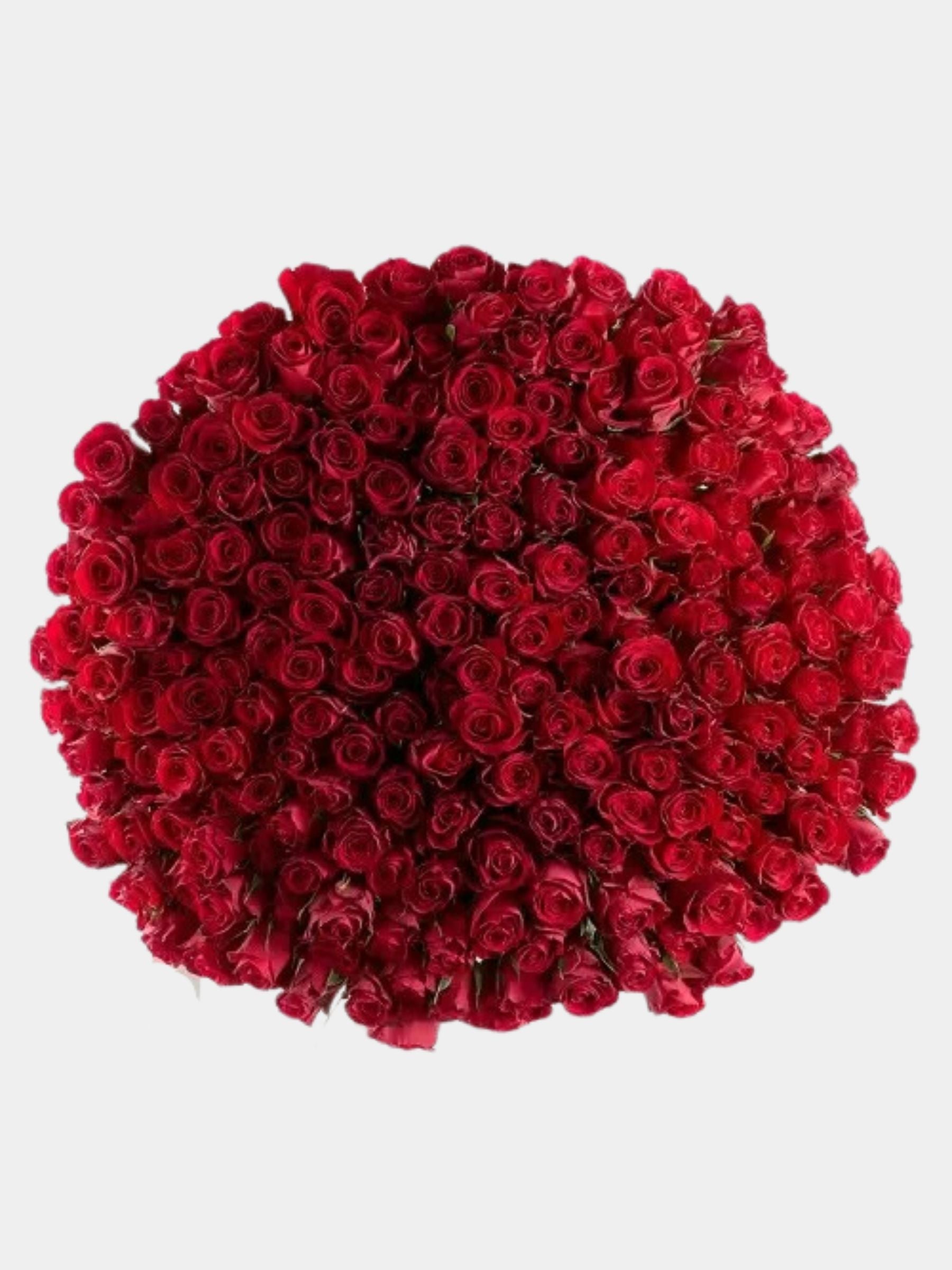 200 Luxury Red Roses