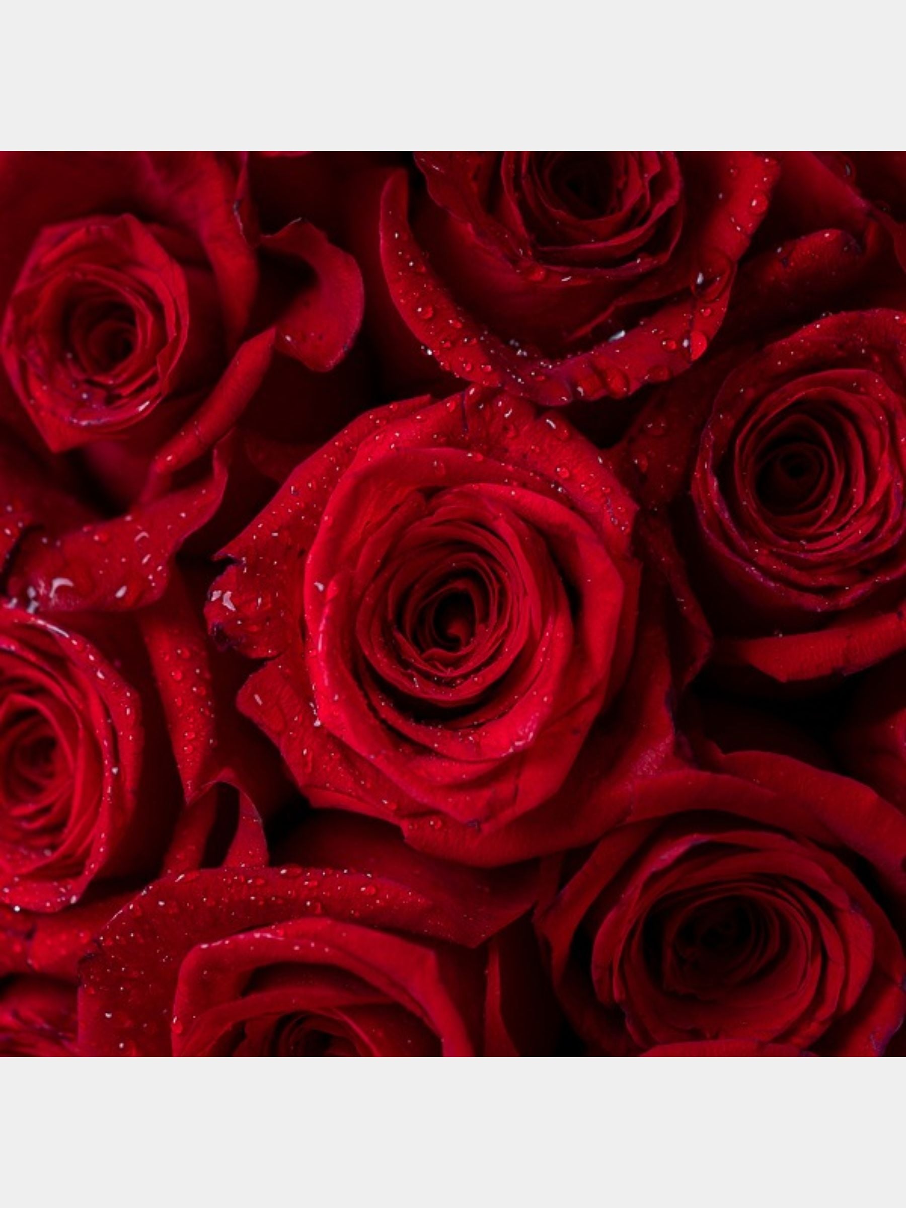 200 Red Rose Grand Bouquet