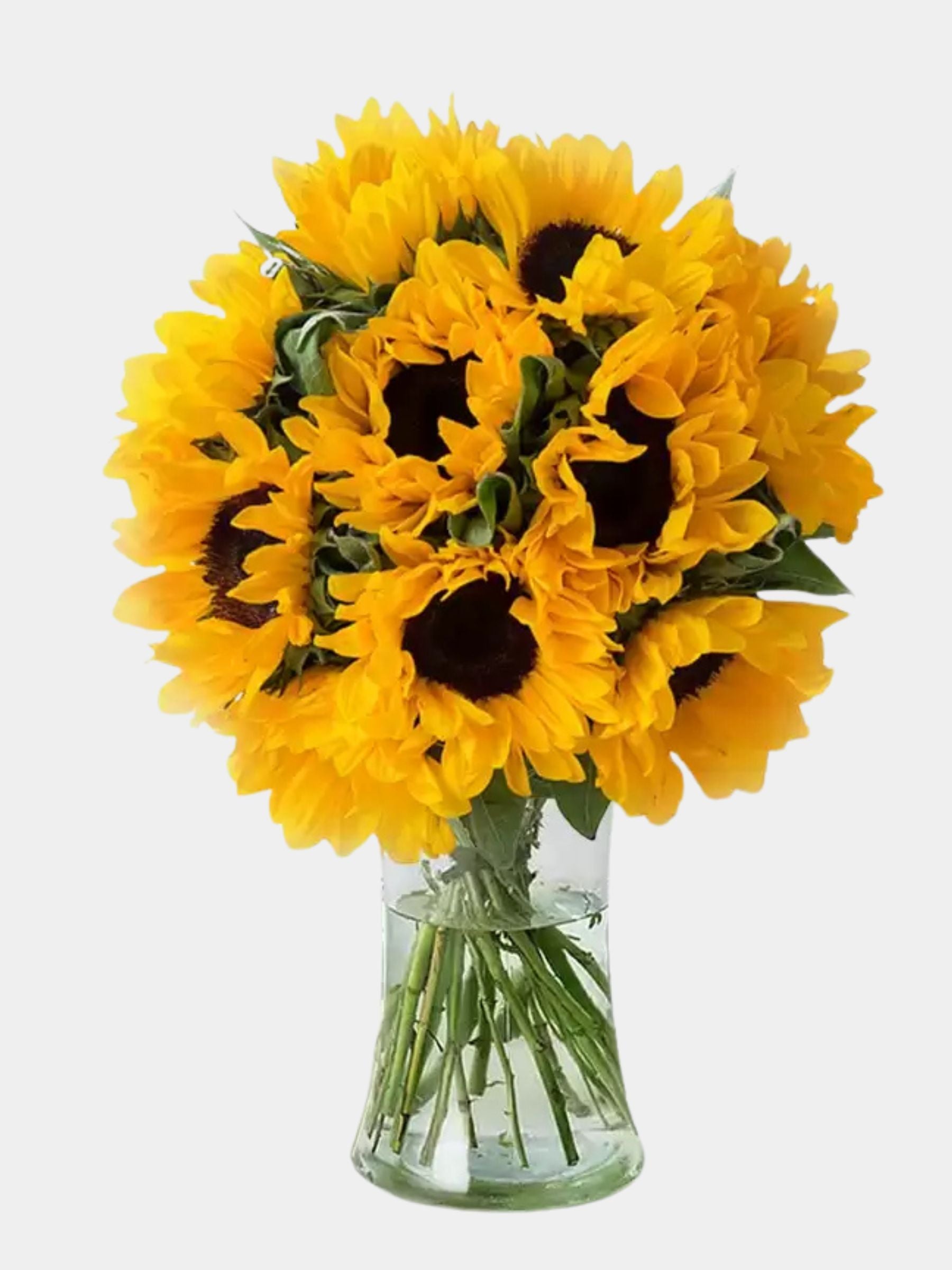 22 Summer Sunflowers