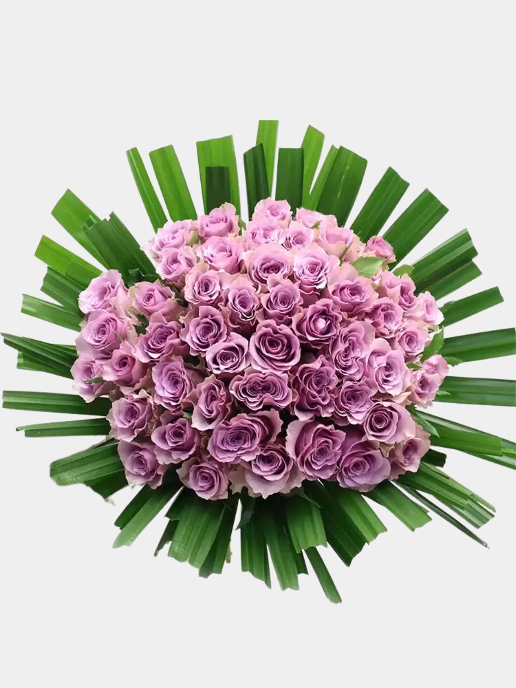 50 Lavender Roses