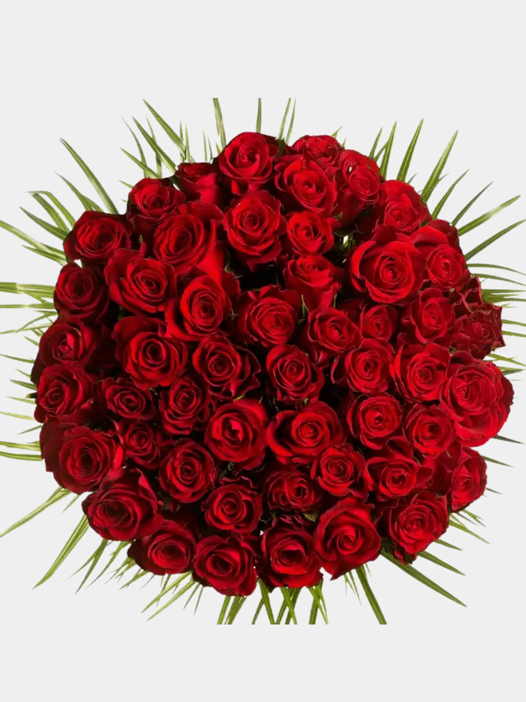 50 Luxury Red Roses