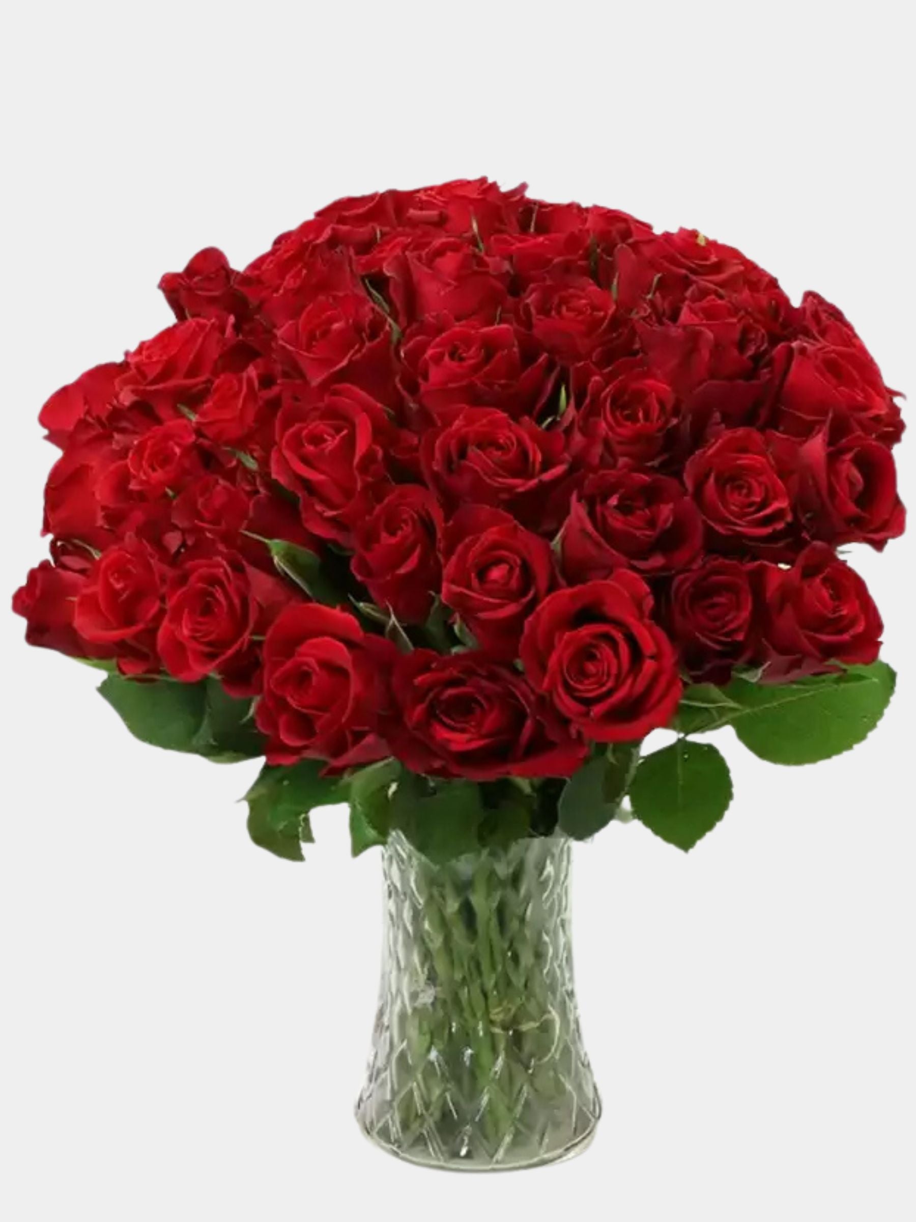 50 Red Roses