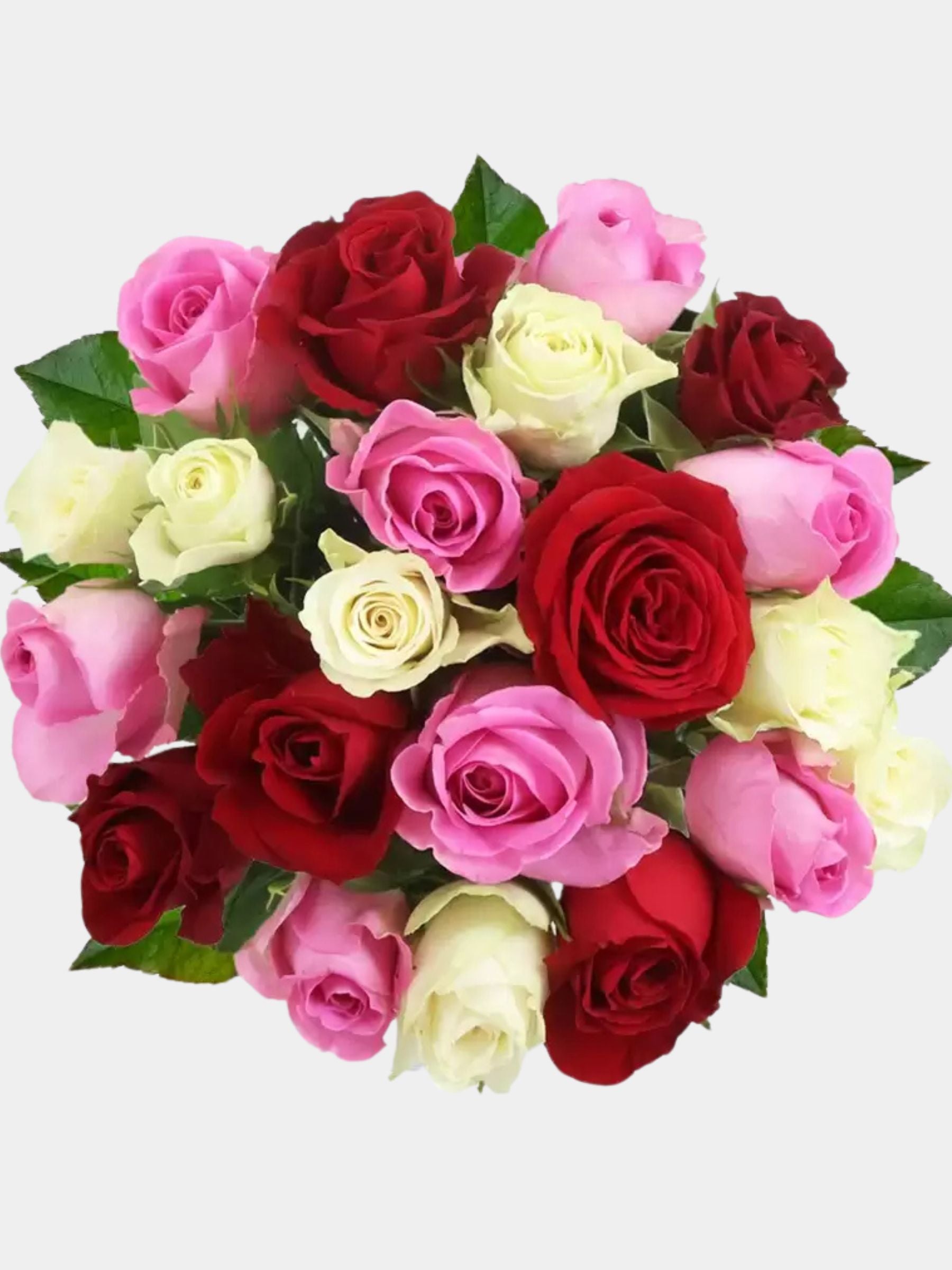 50 Rose Medley