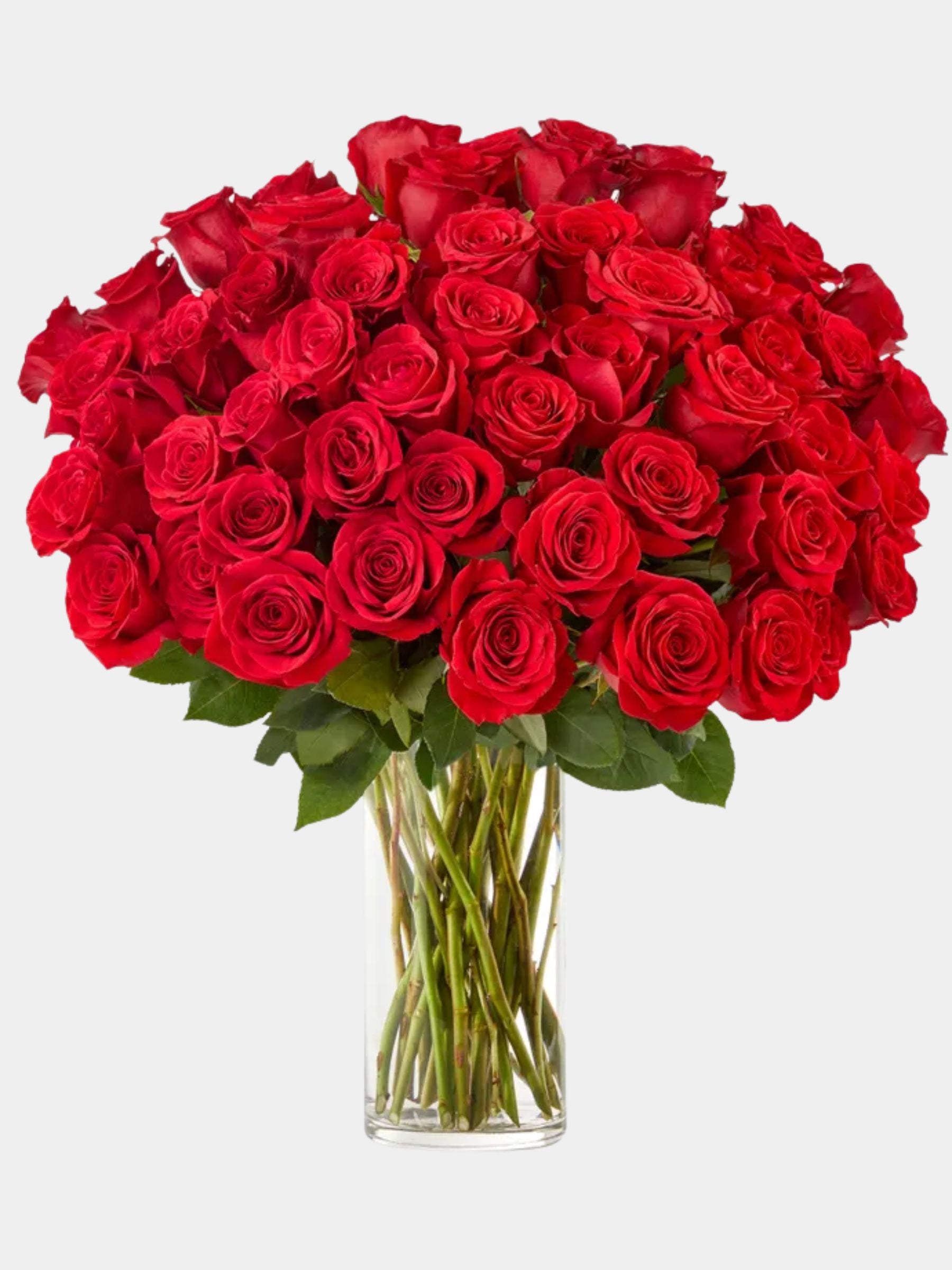 50 Stunning Long Stemmed Red Roses