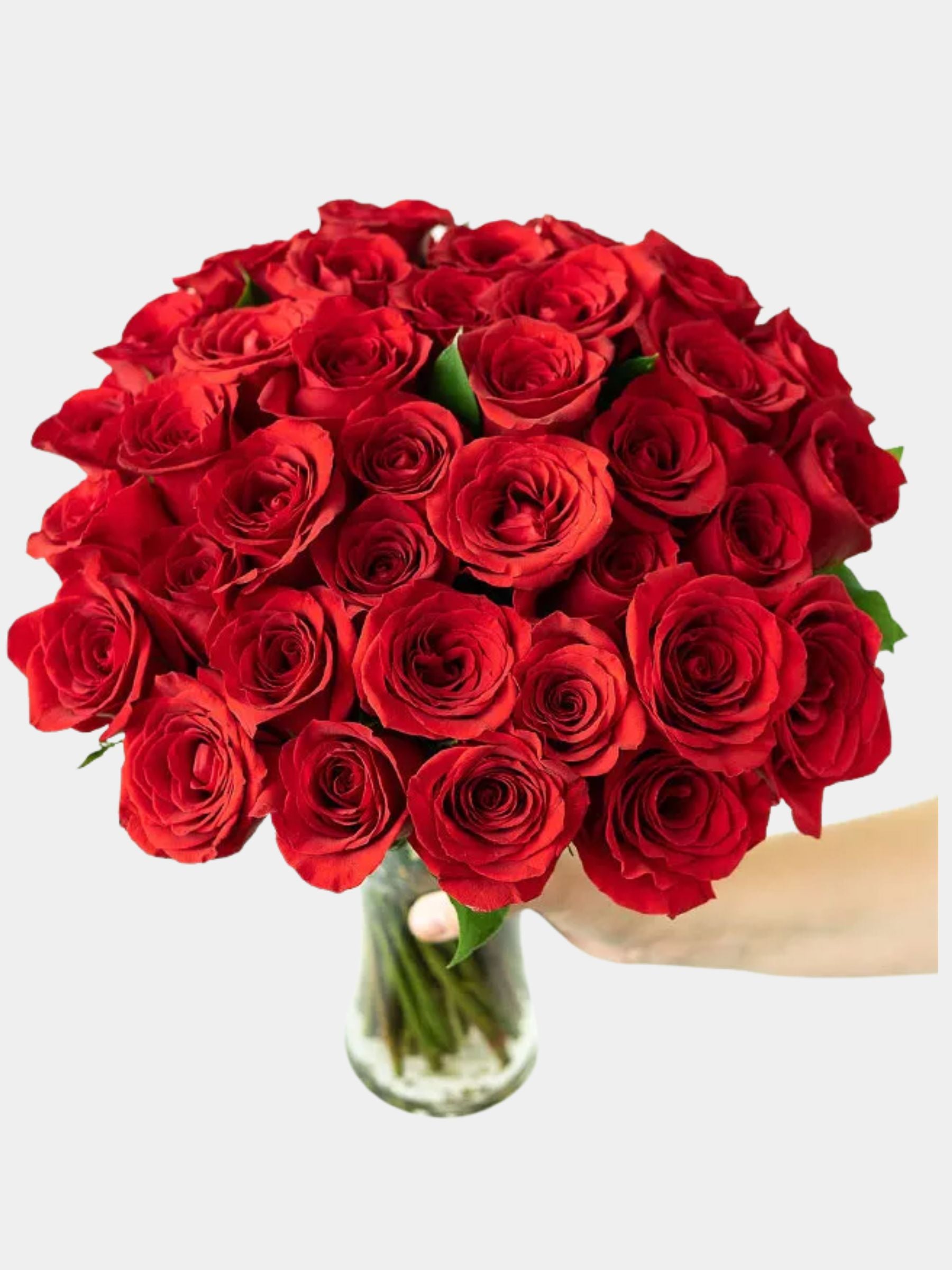 50 Stunning Long Stemmed Red Roses
