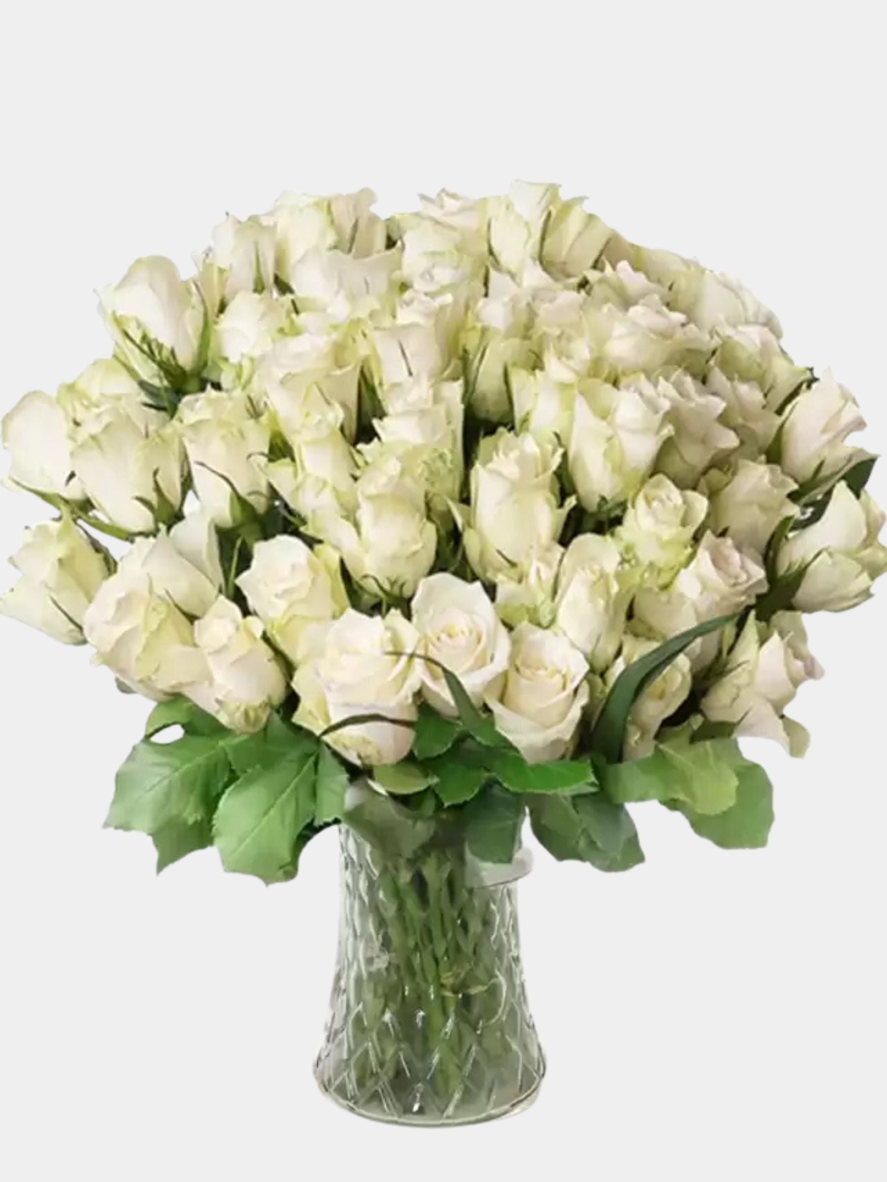 50 White Roses