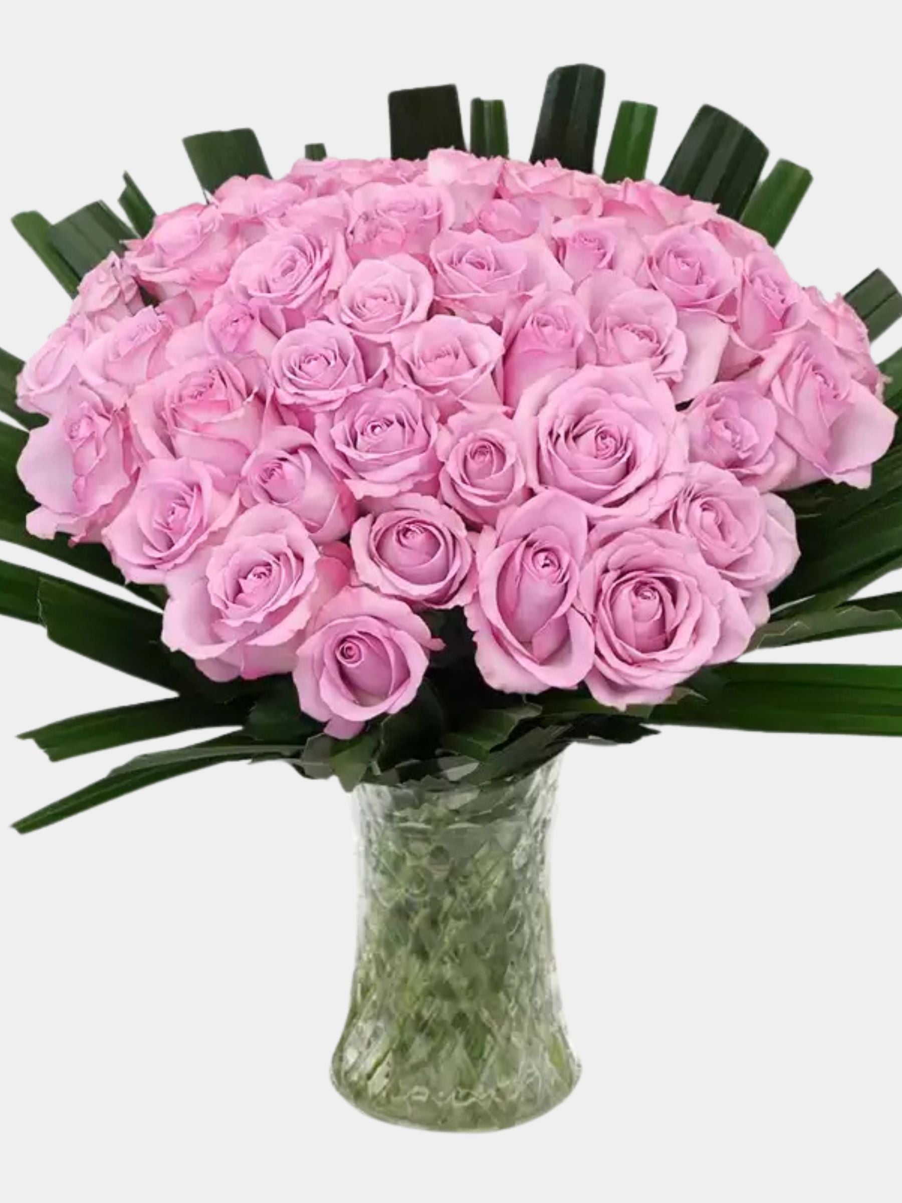 50 Lavender Roses