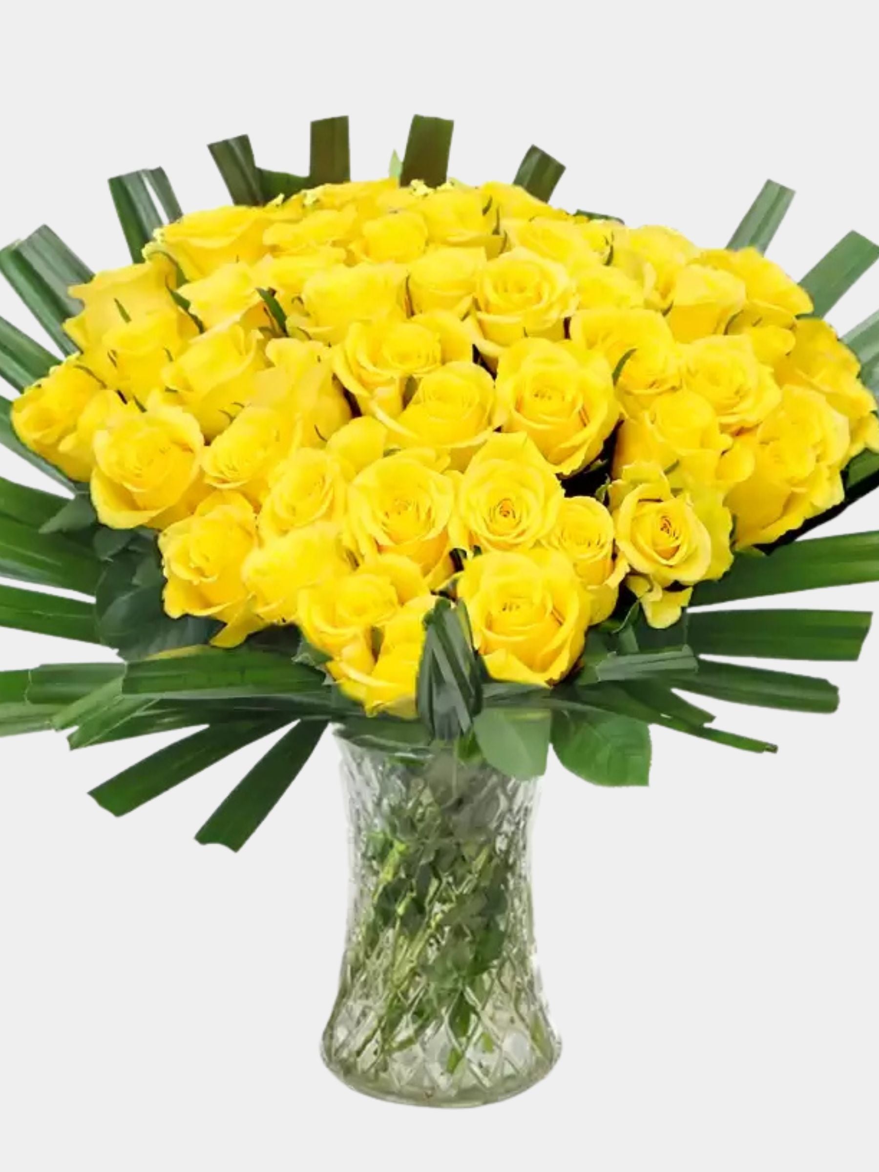 50 Sunshine Roses