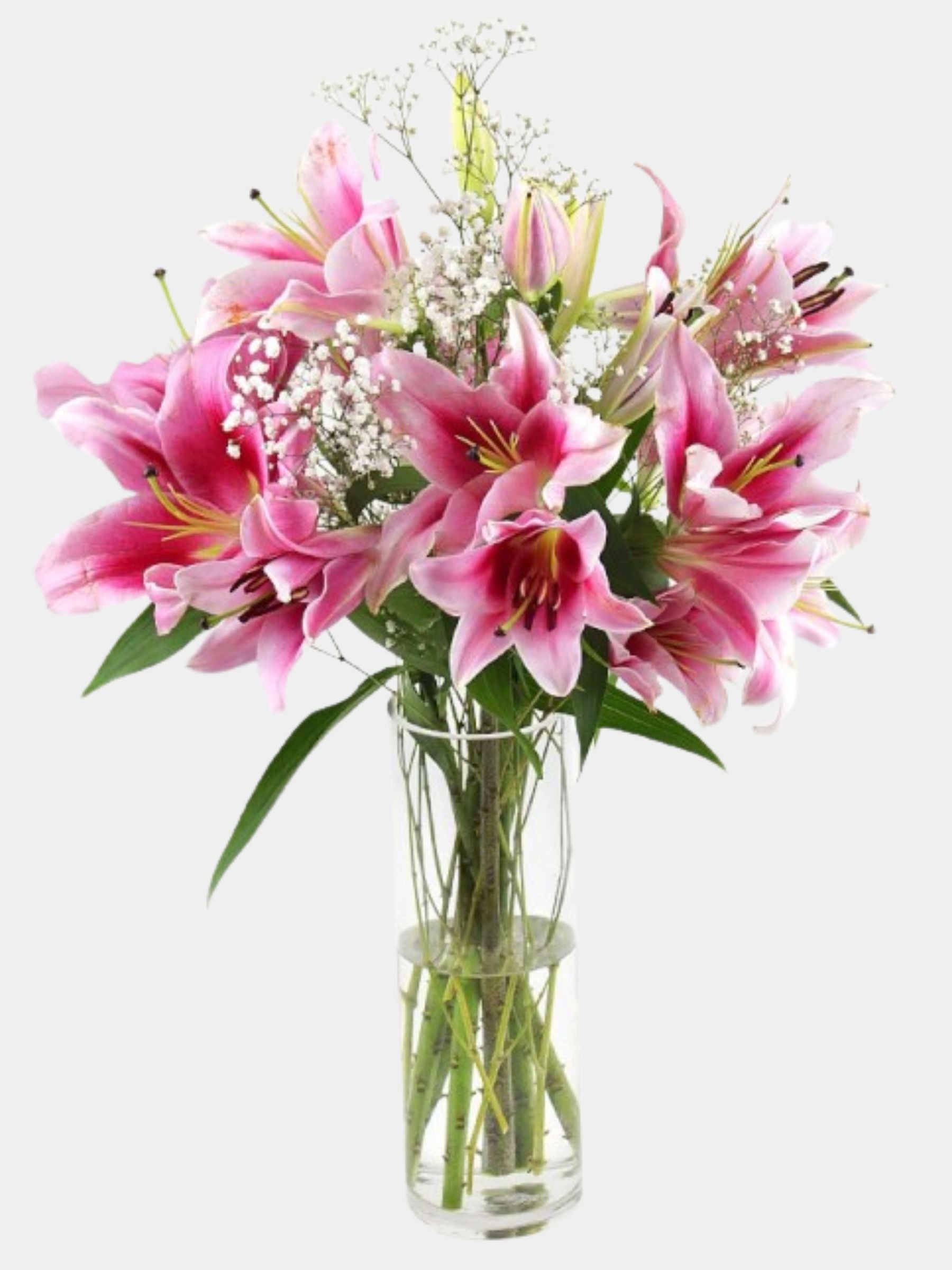 5 Pink Lilies & Baby’s Breath in Glass Vase