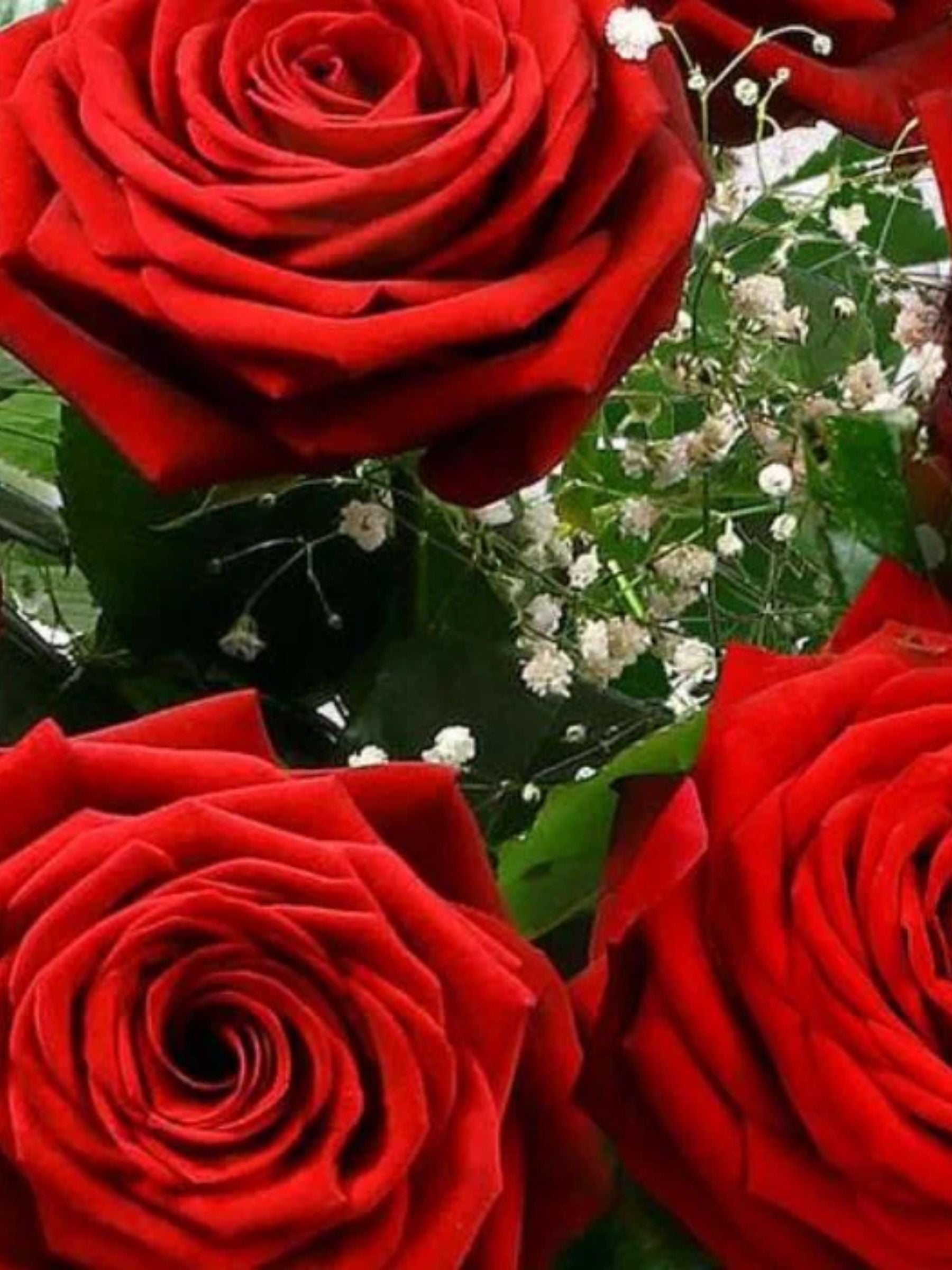 All About Love