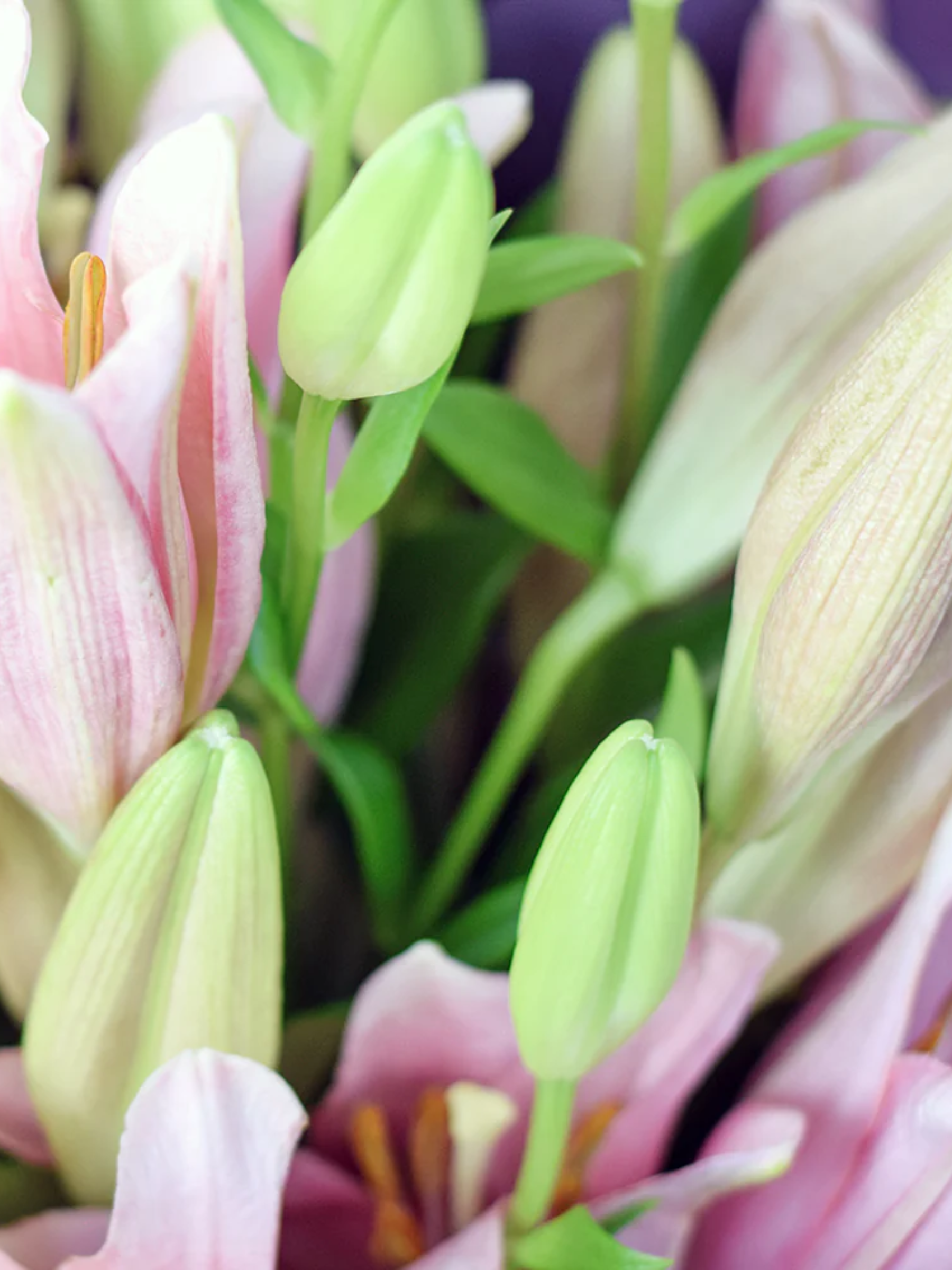 Berry Crush Lily Bouquet