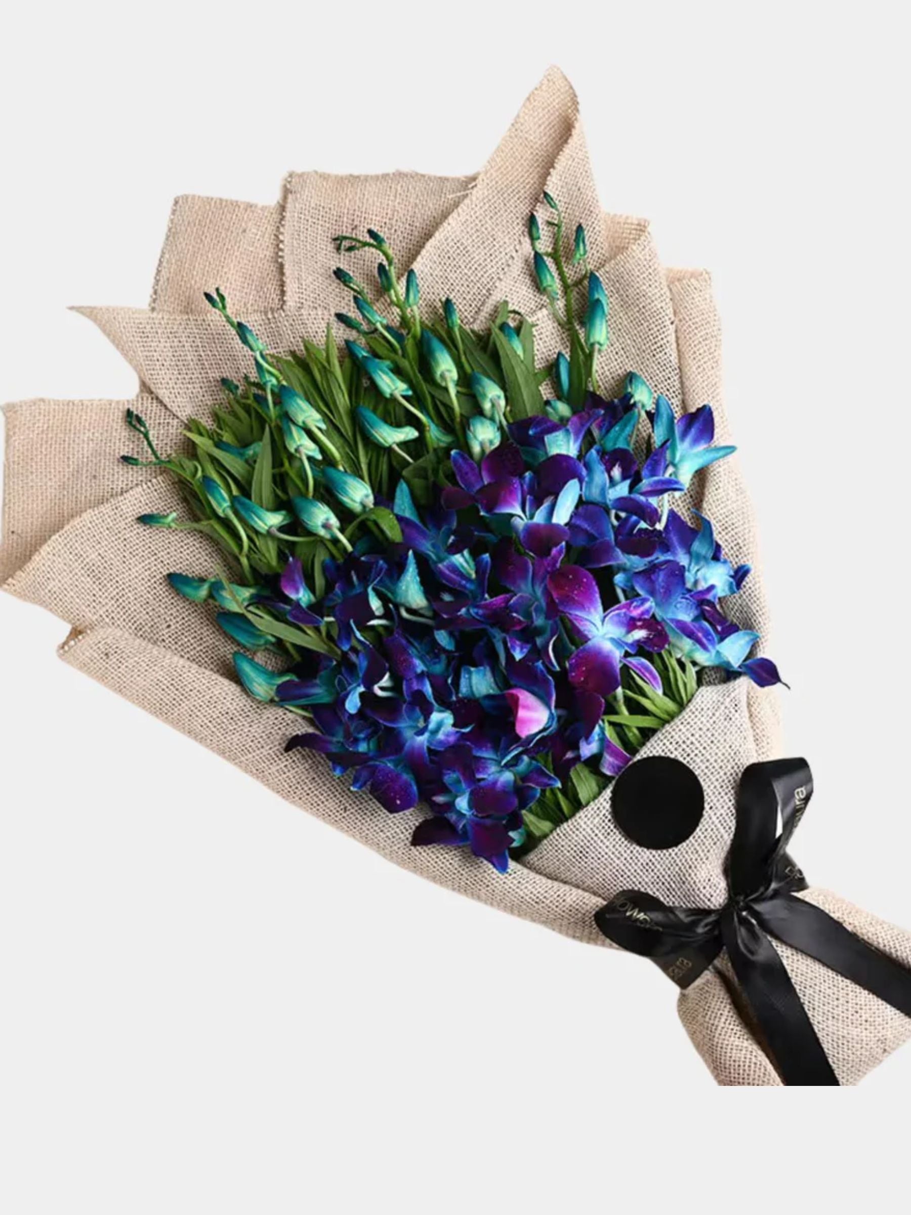 Blue Orchids and Chocolate Cake