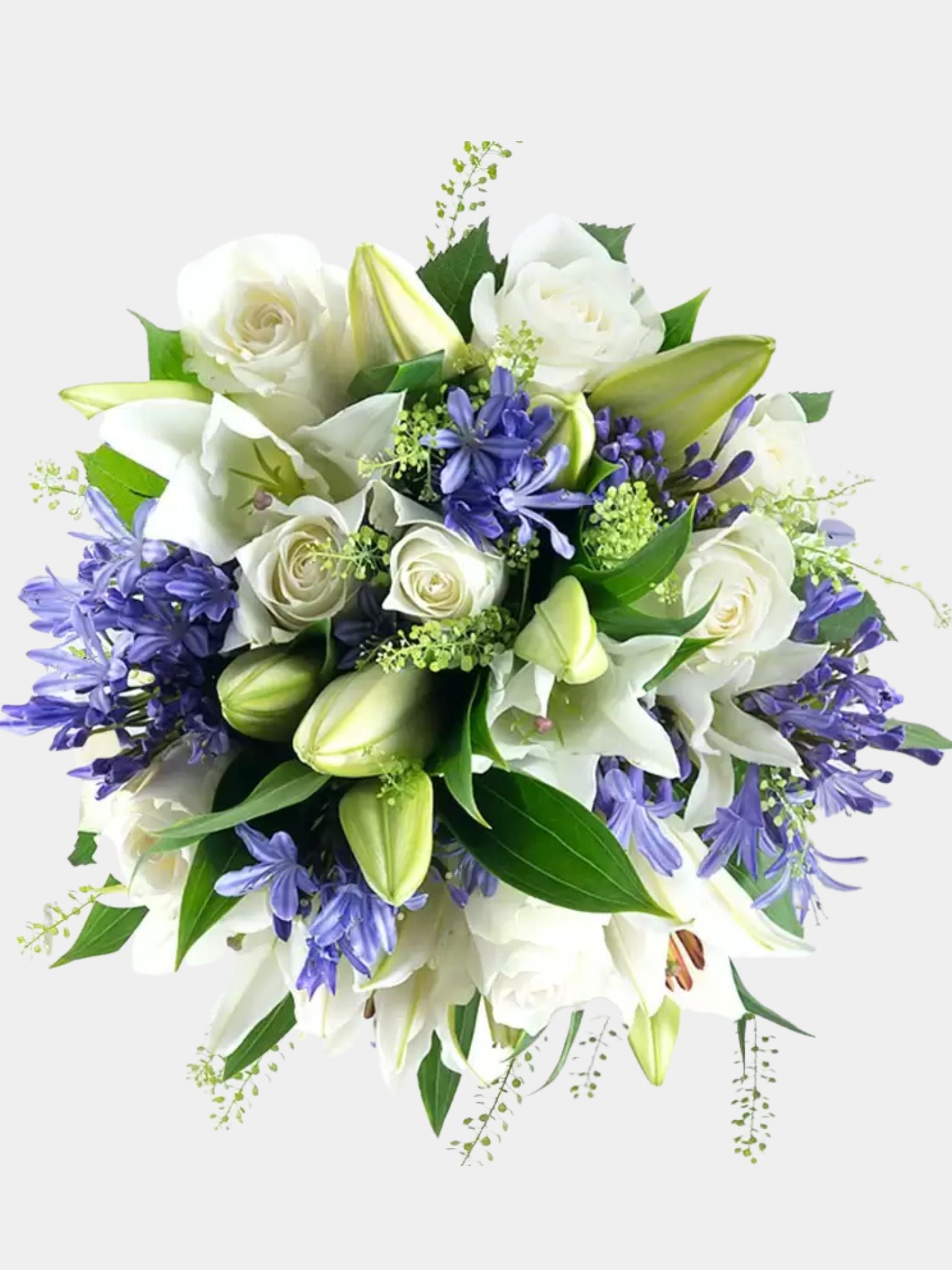 Bluebelle