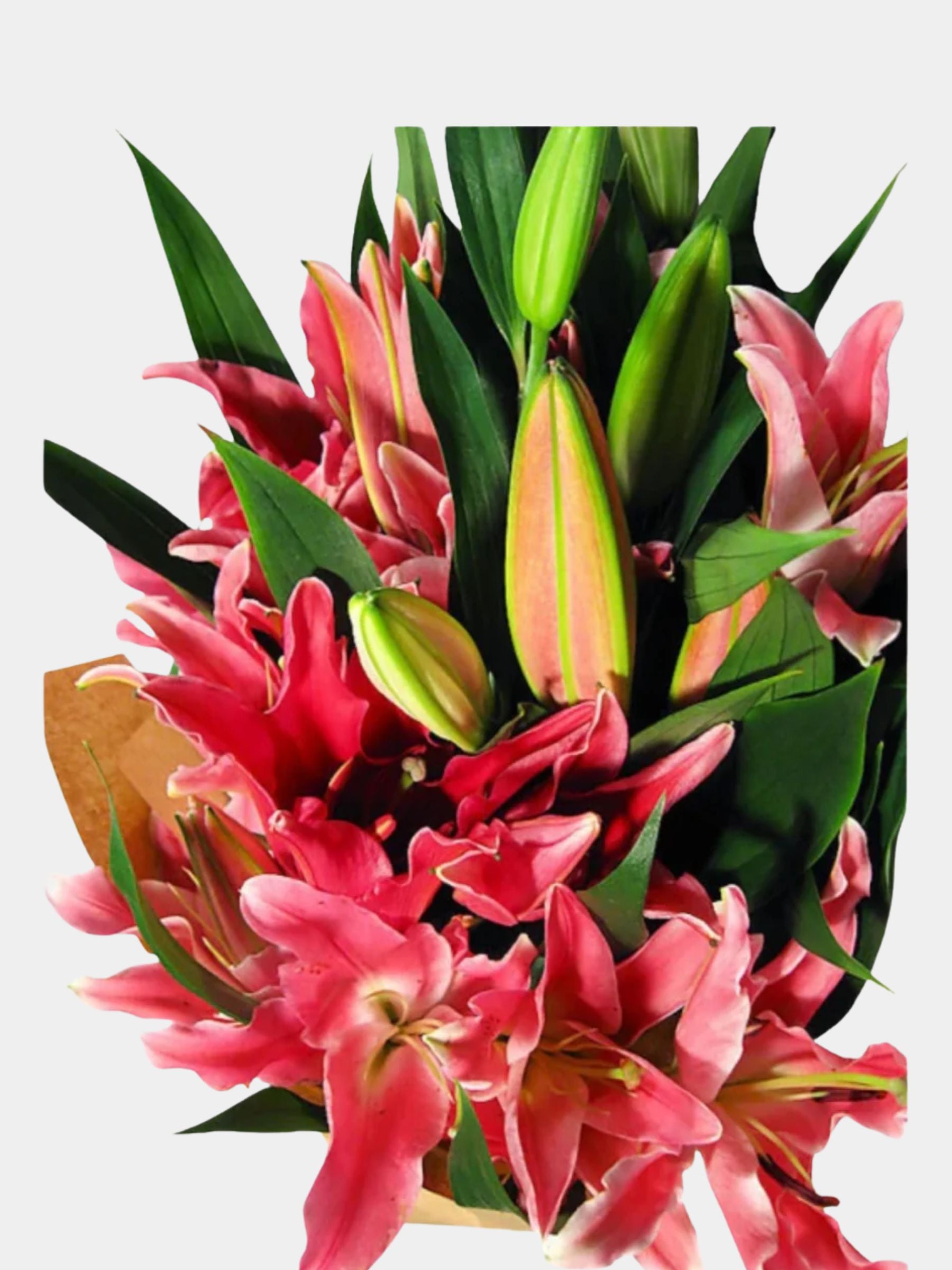 Bouquet of 10 Pink Oriental Lily