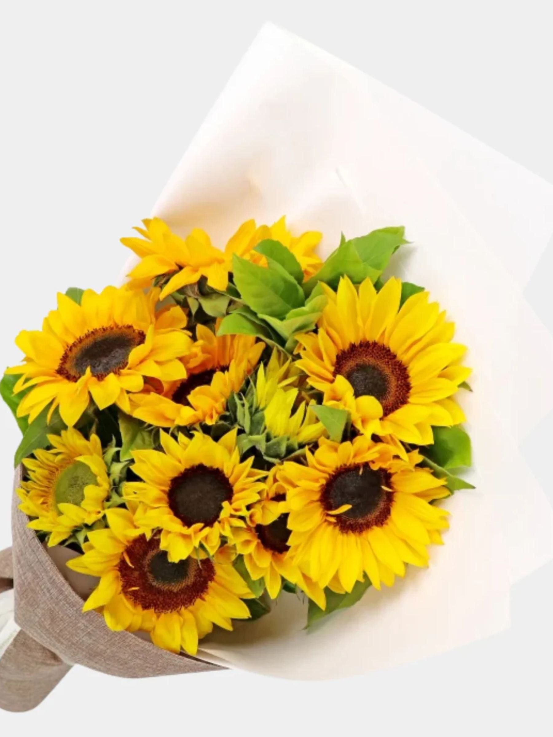 Bouquet of 10 Sunflowers