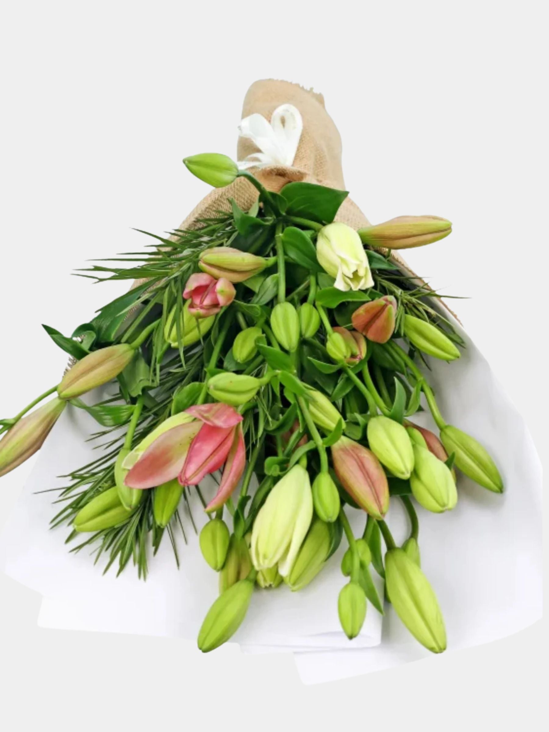 Bouquet of Mixed 10 Pastel Lily