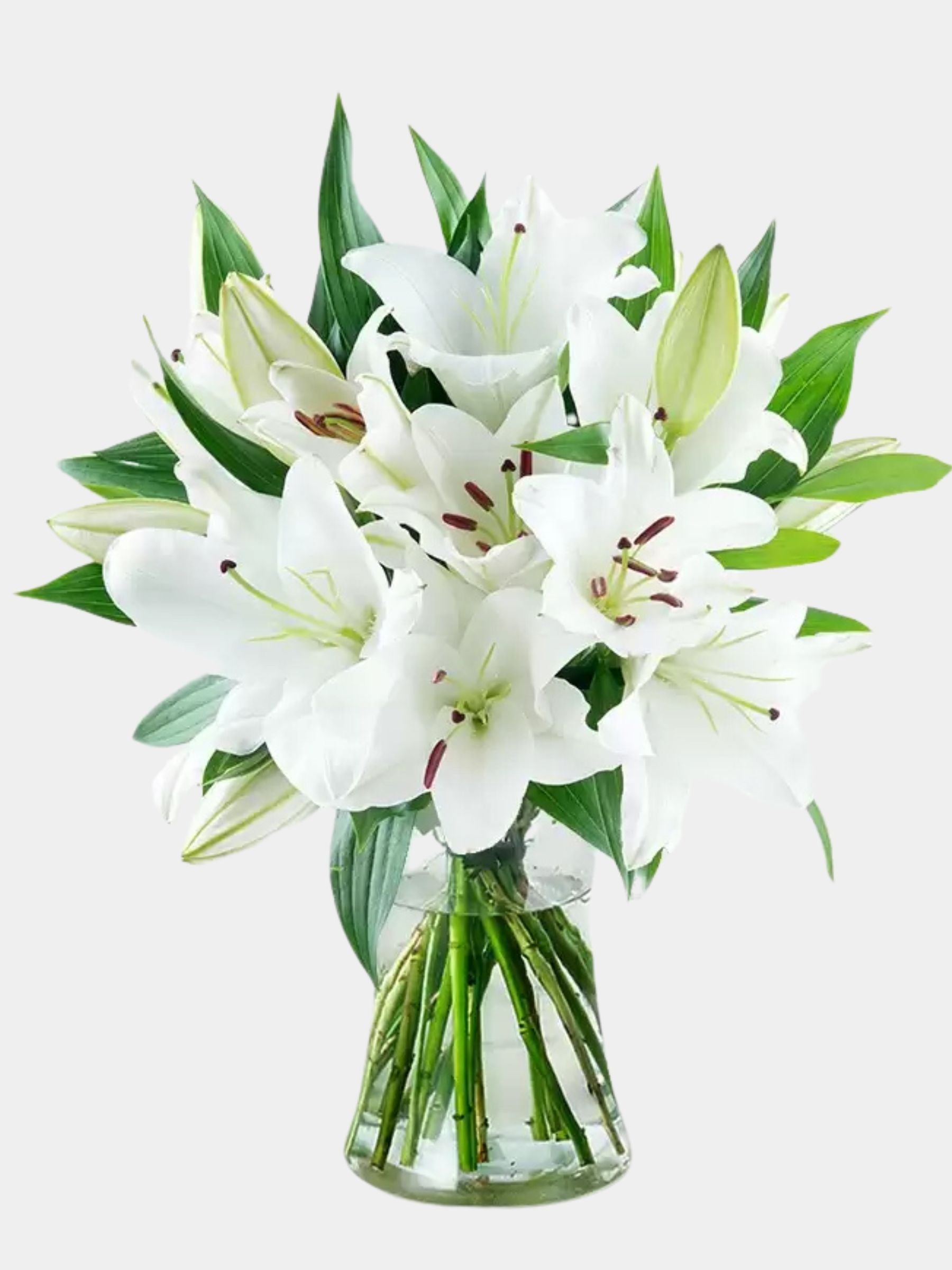 bouquet white lily Casablanca Lily Bouquet