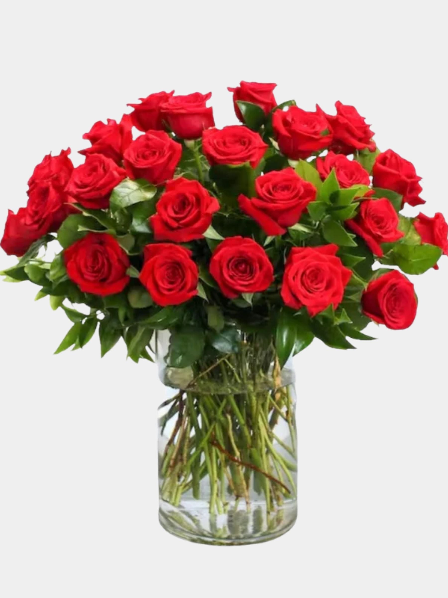 Classic Two Dozen Premium Roses