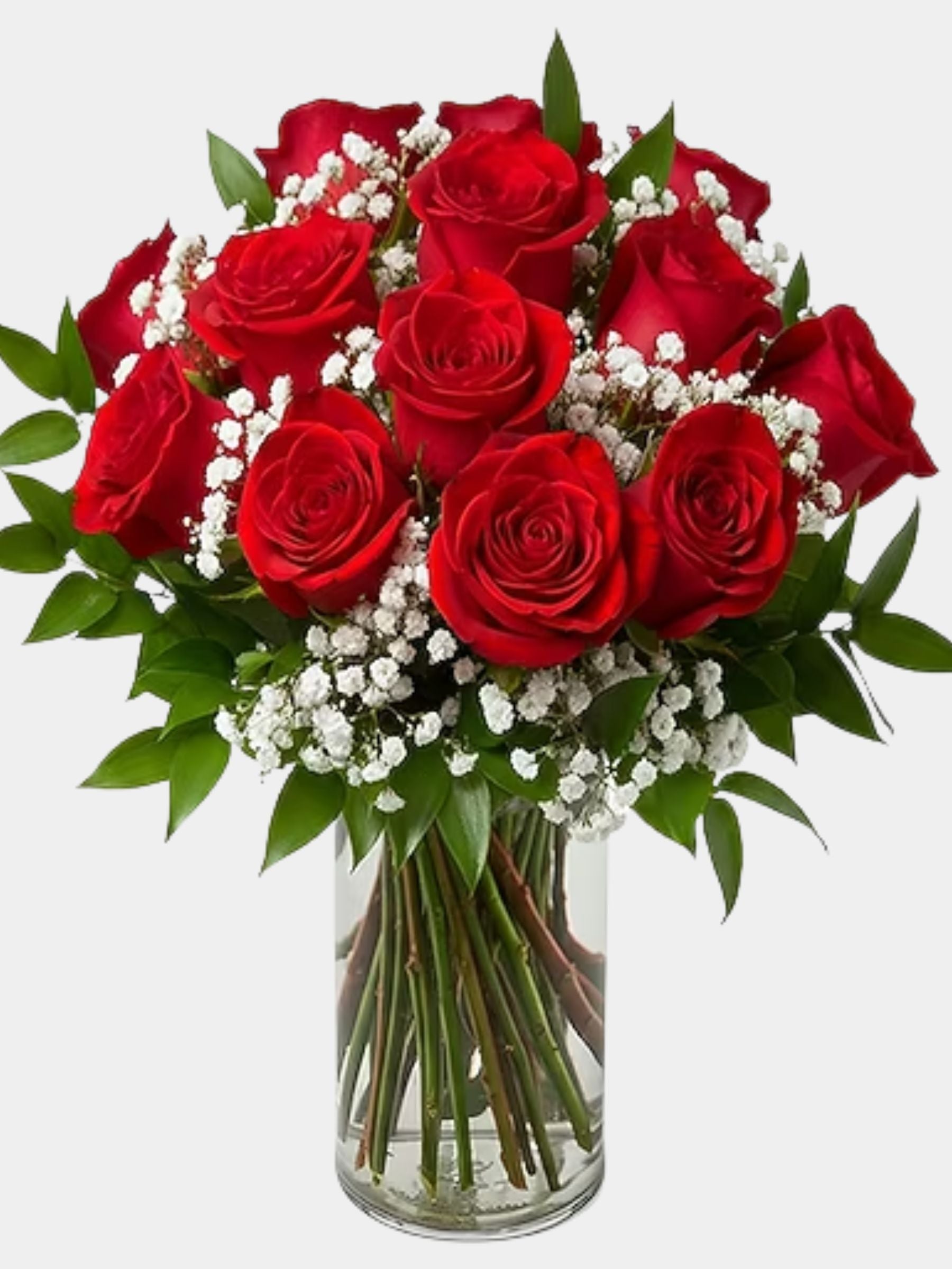 Dozen Red Roses with Babies Breath