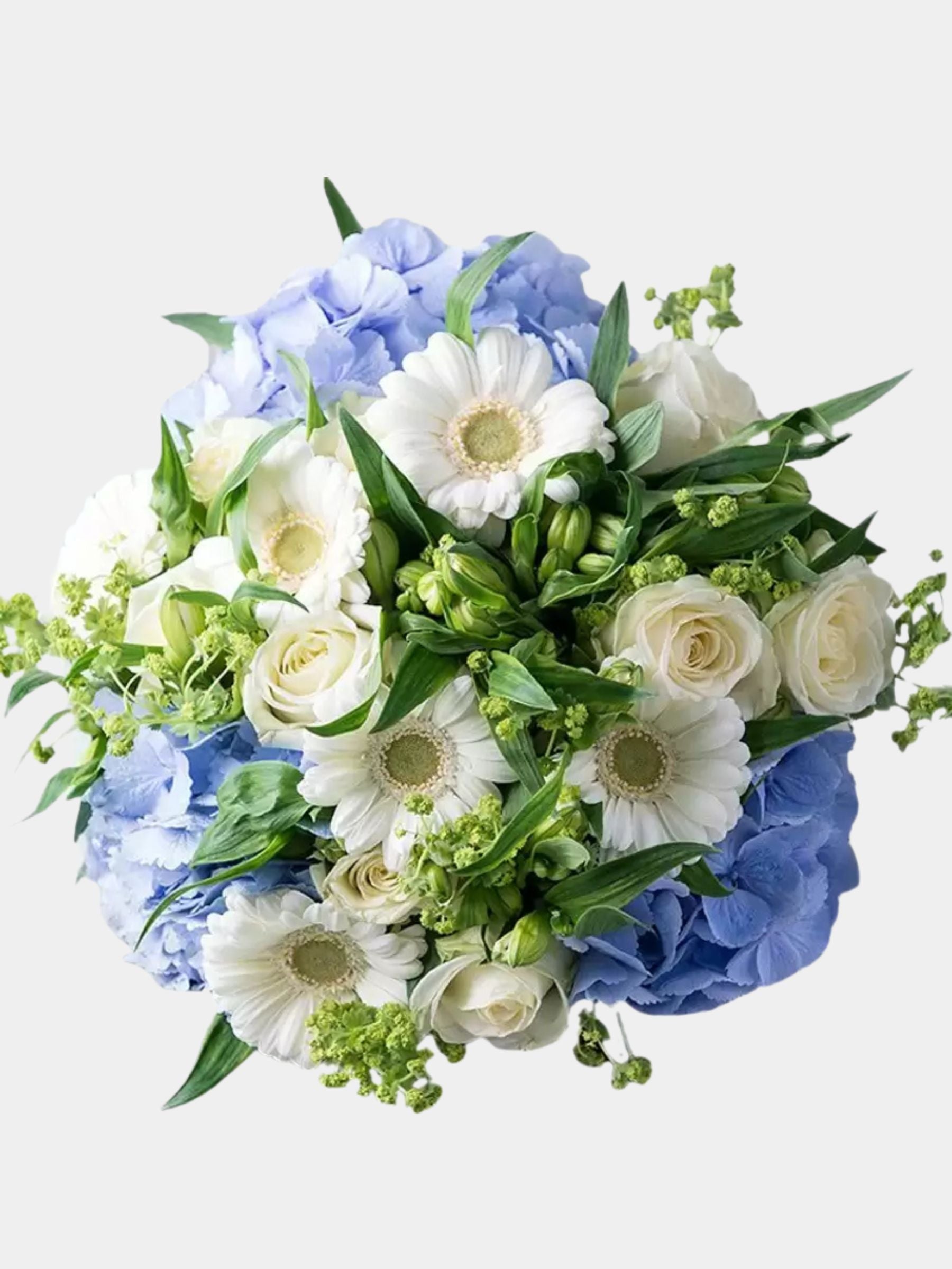 Forget Me Not
