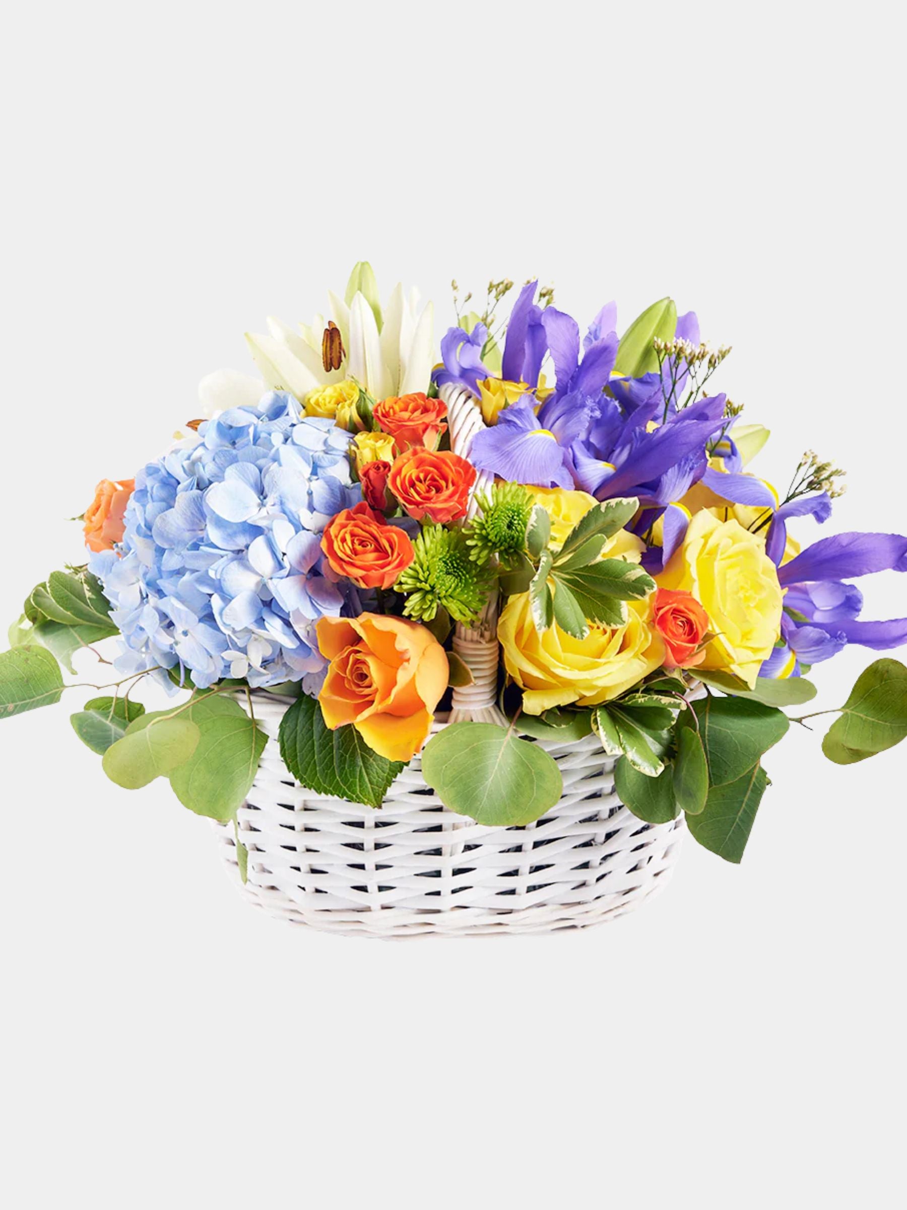 Irises In Paradise Mixed Arrangement