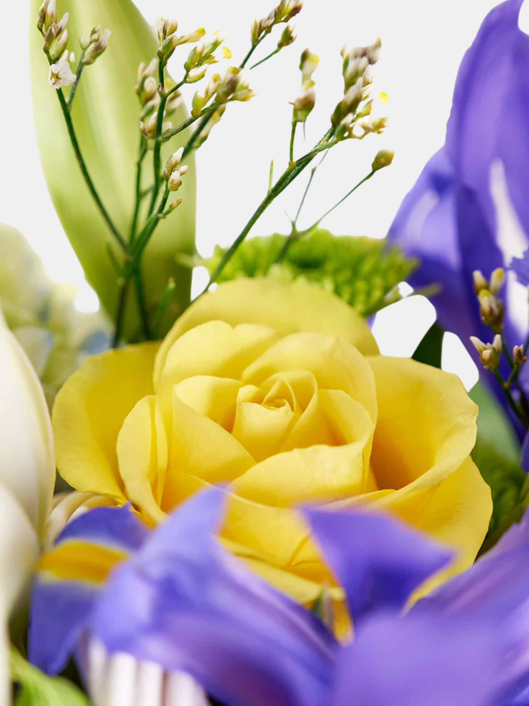 Irises In Paradise Mixed Arrangement