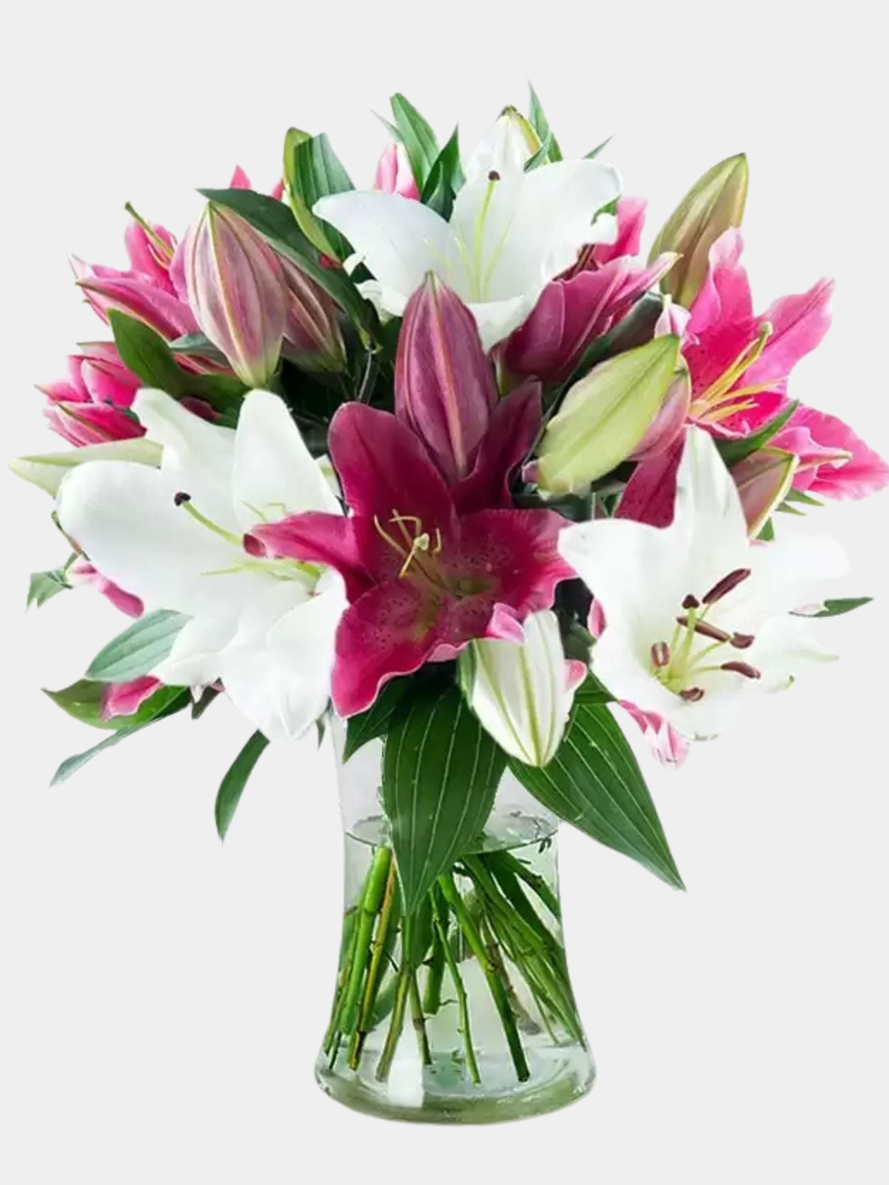 Stargazer Lily Bouquet