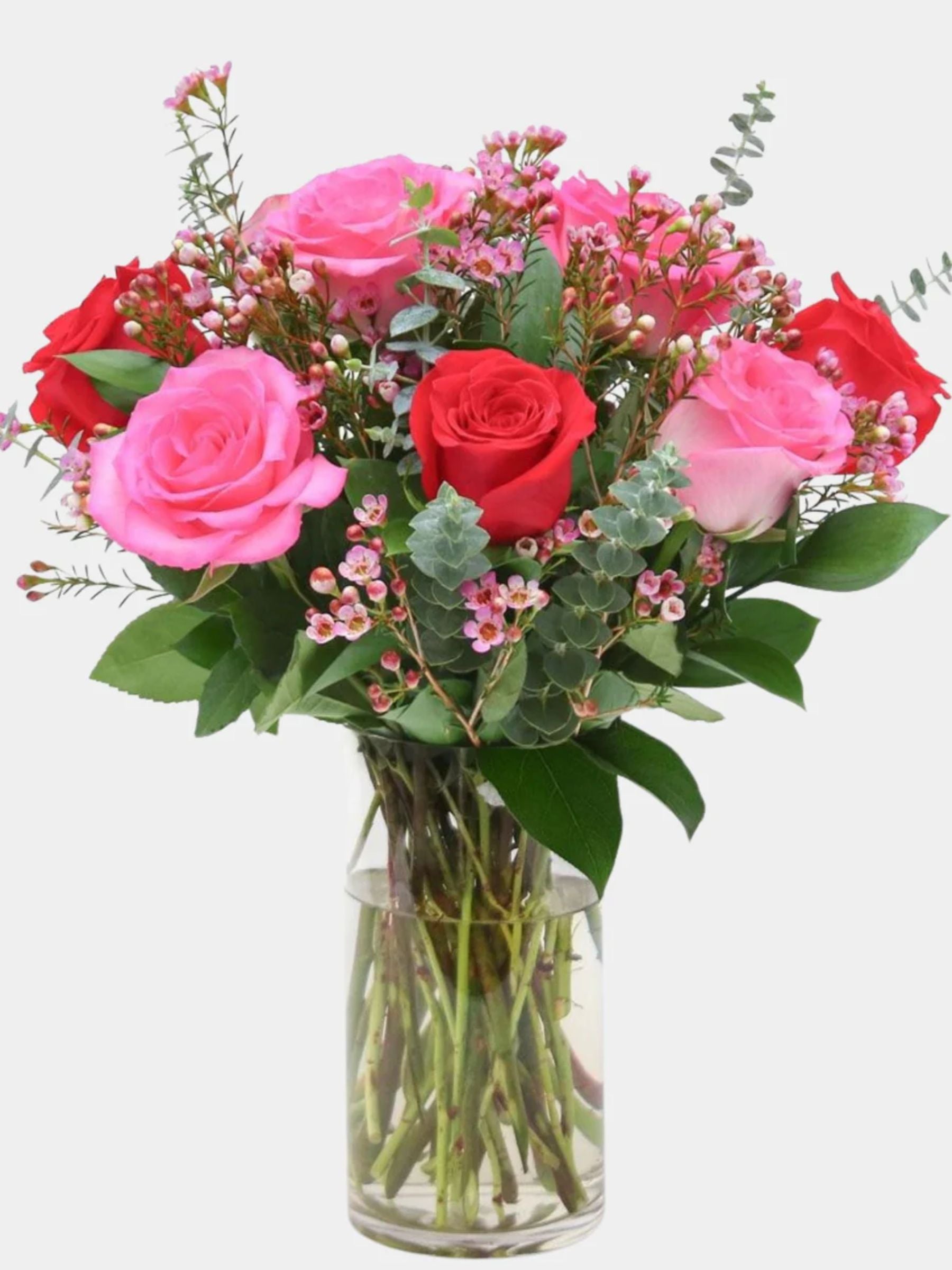 Petal Blush