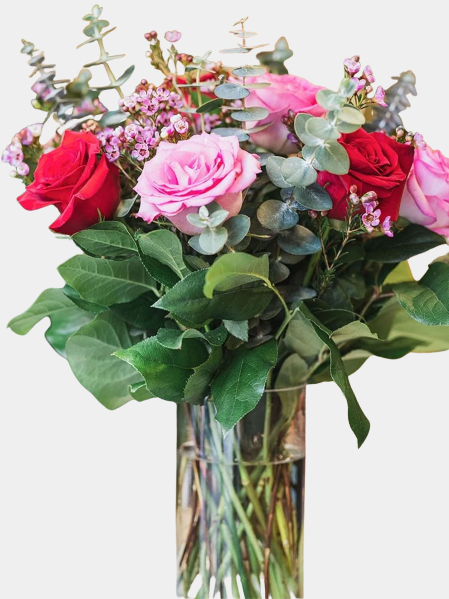 Petal Blush
