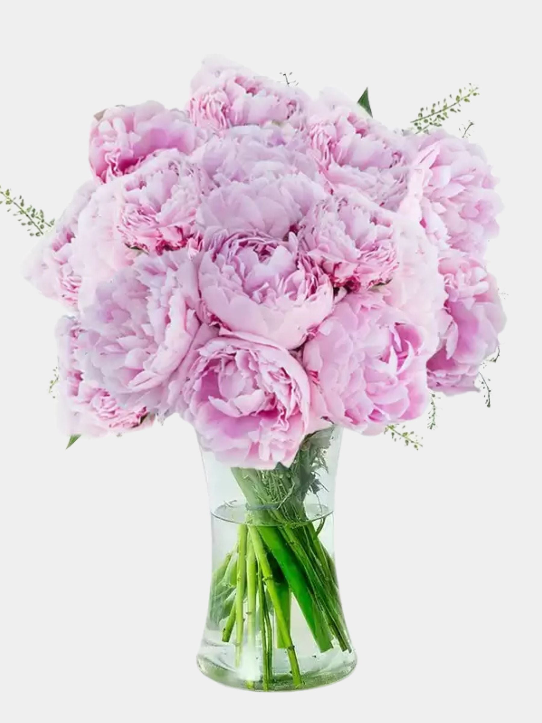 Pink Peonies