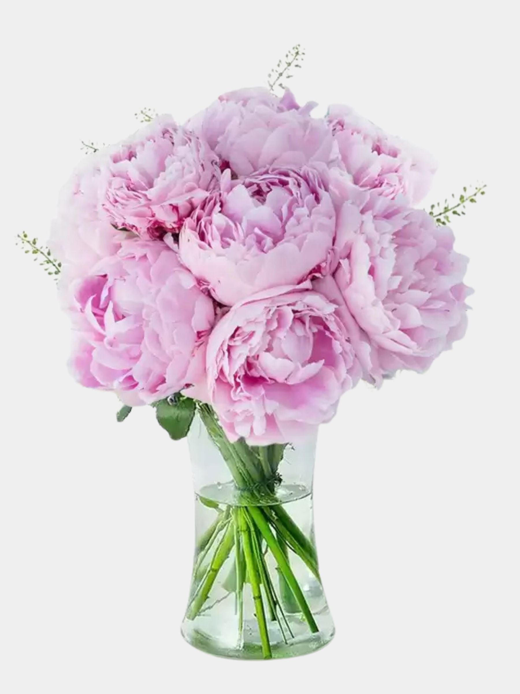 Pink Peonies