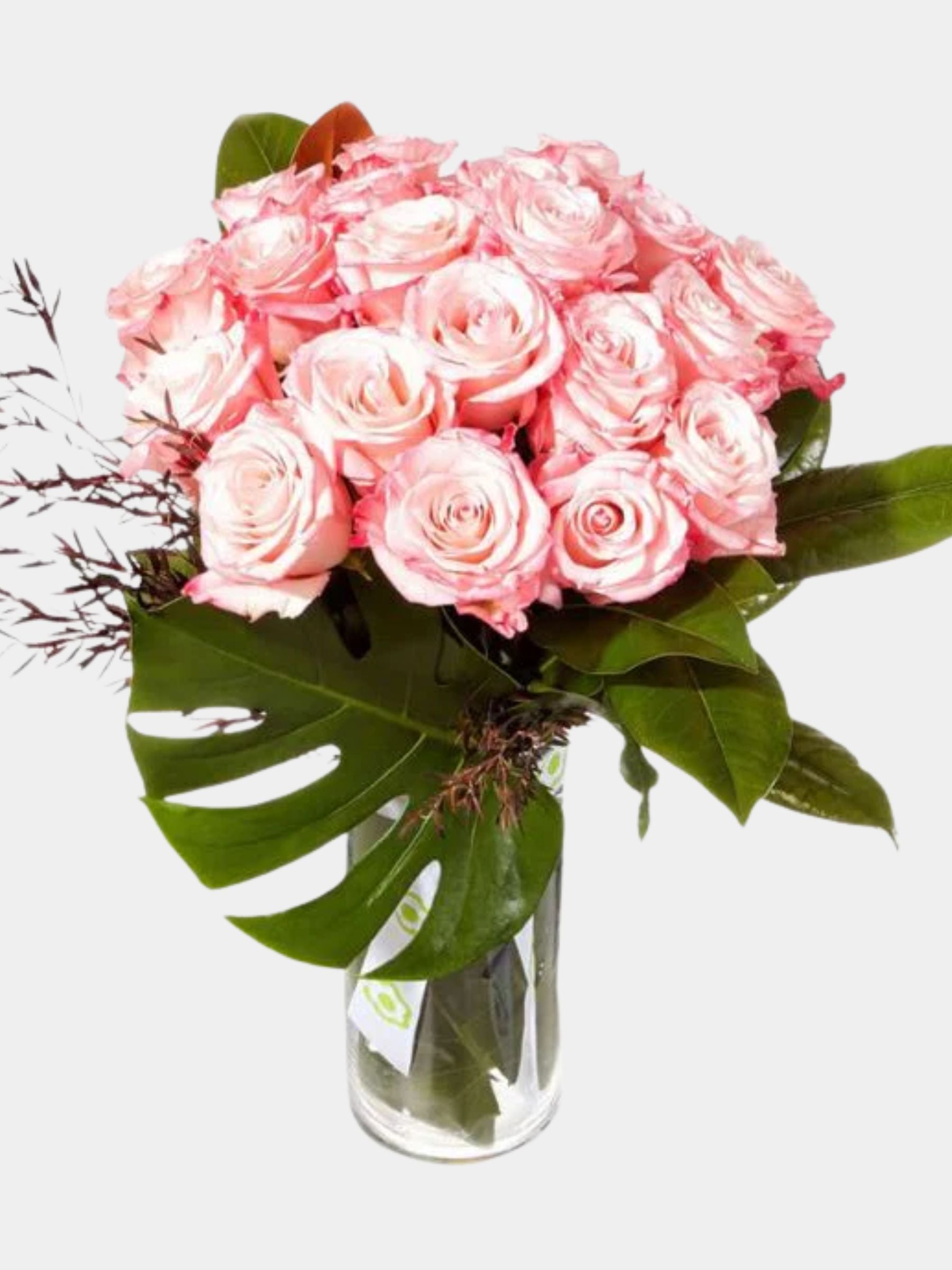 Pink Whisper Rose Vase