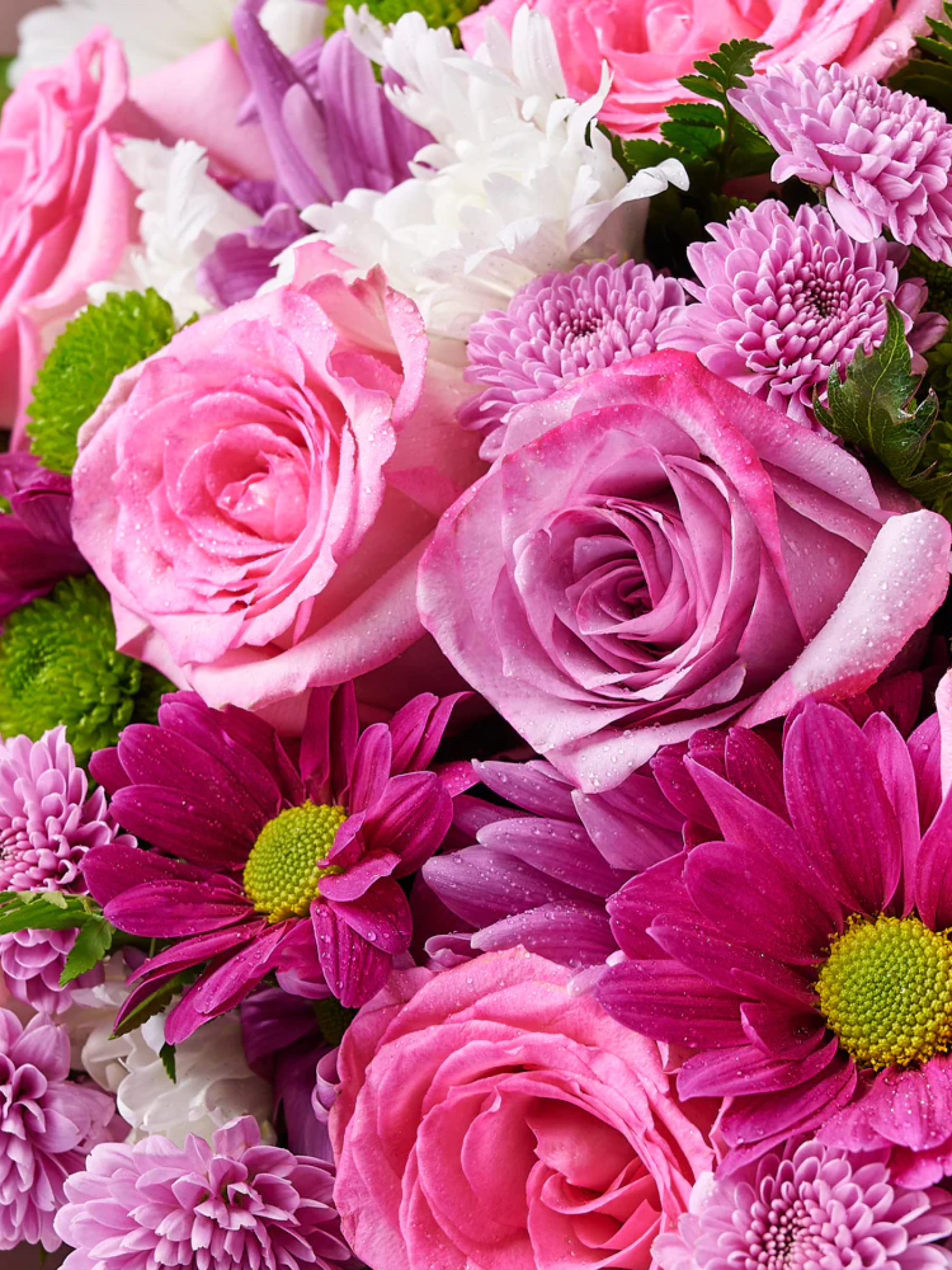 Pink & Purple Mixed Daisy Bouquet