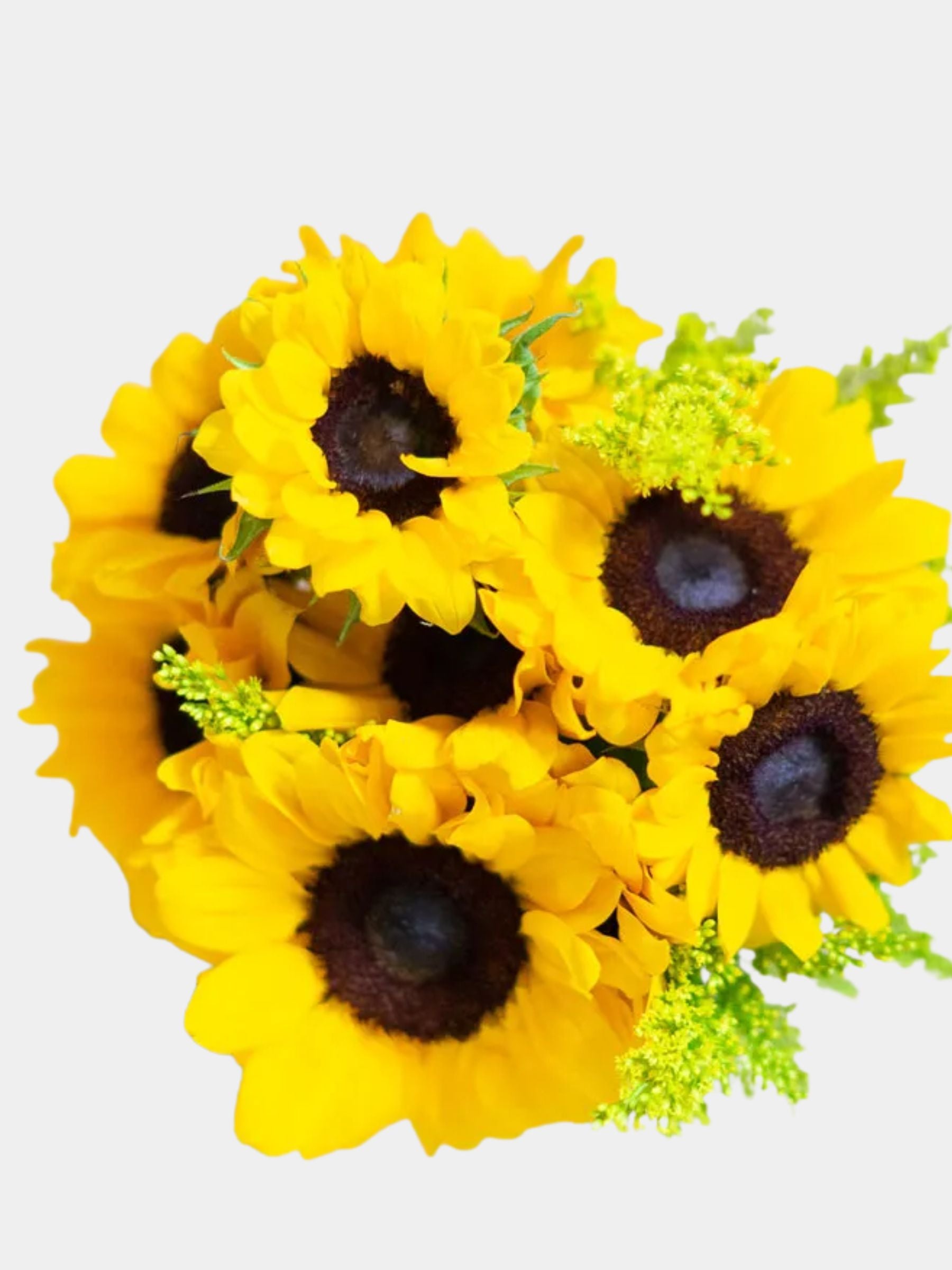 Stunning Sunflowers