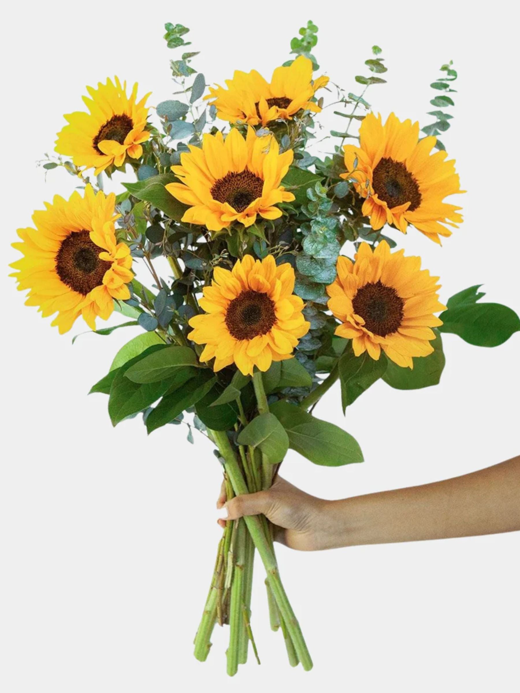 Sunflower Bouquet