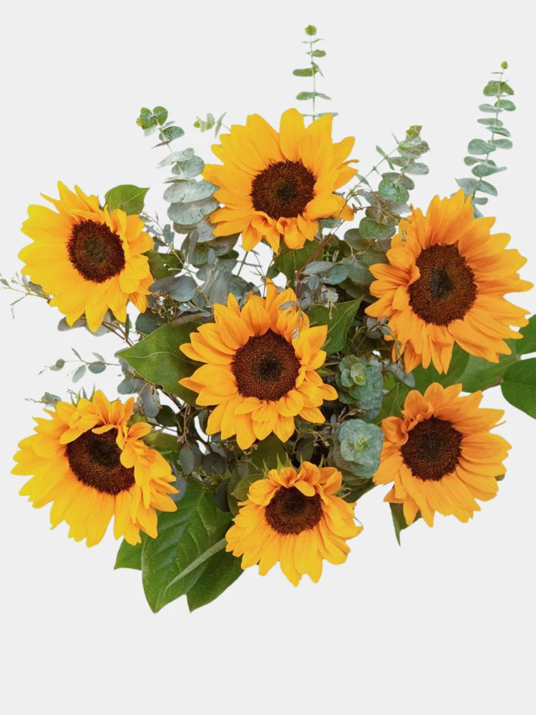 Sunflower Bouquet