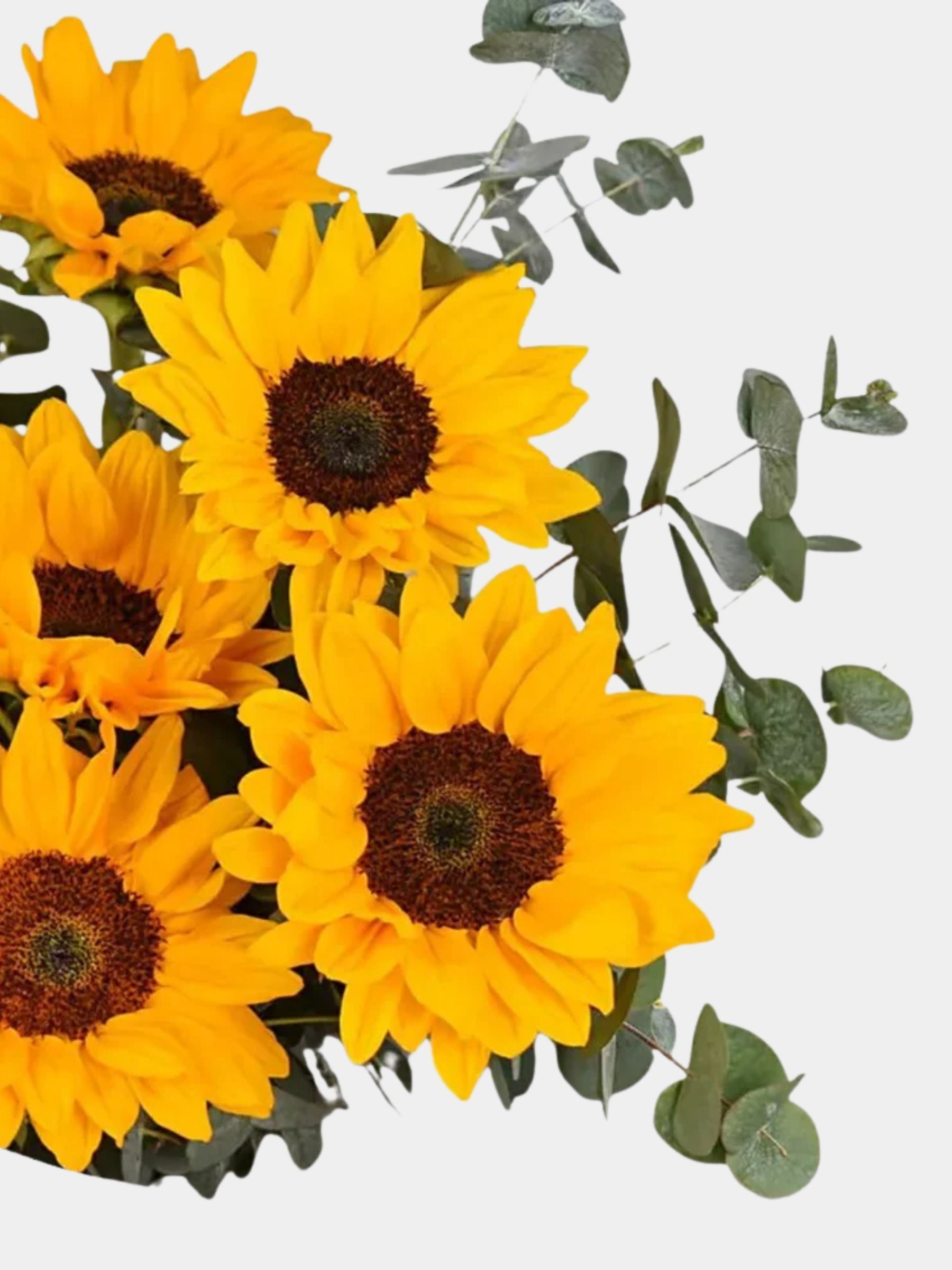 Sunflowers Pop Bouquet