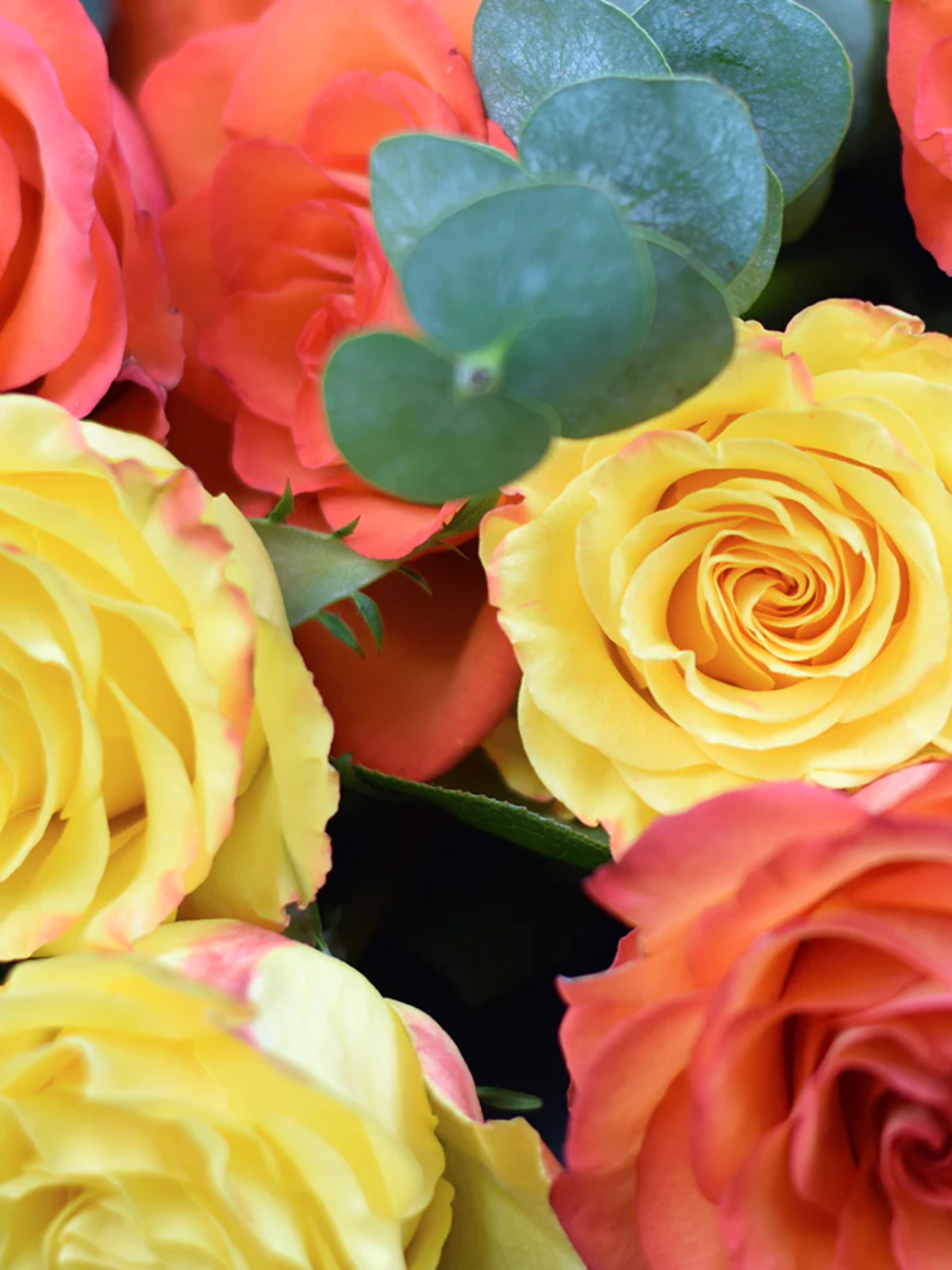 Sunset Rose Bouquet
