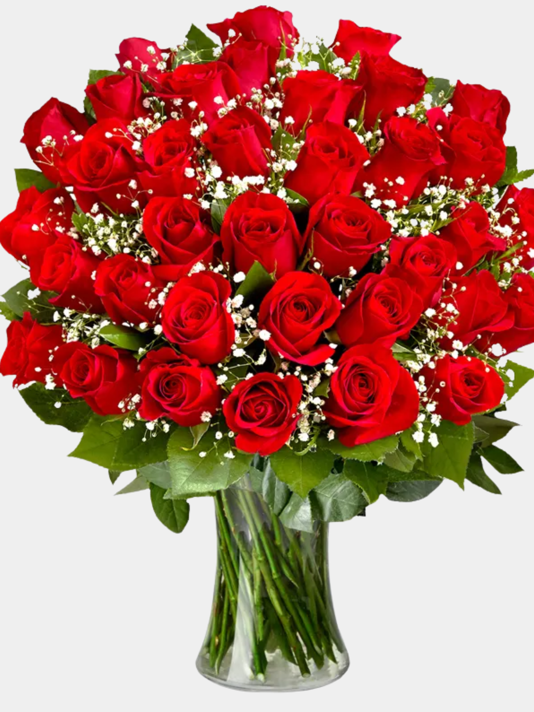 Three Dozen Premium Red Roses