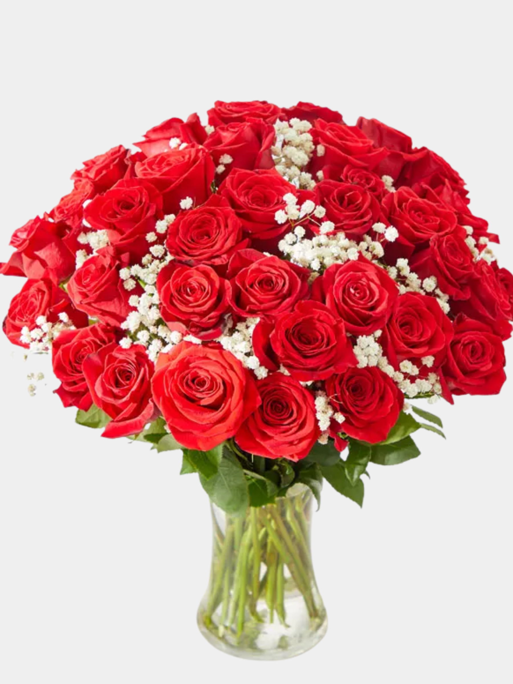 Three Dozen Premium Red Roses