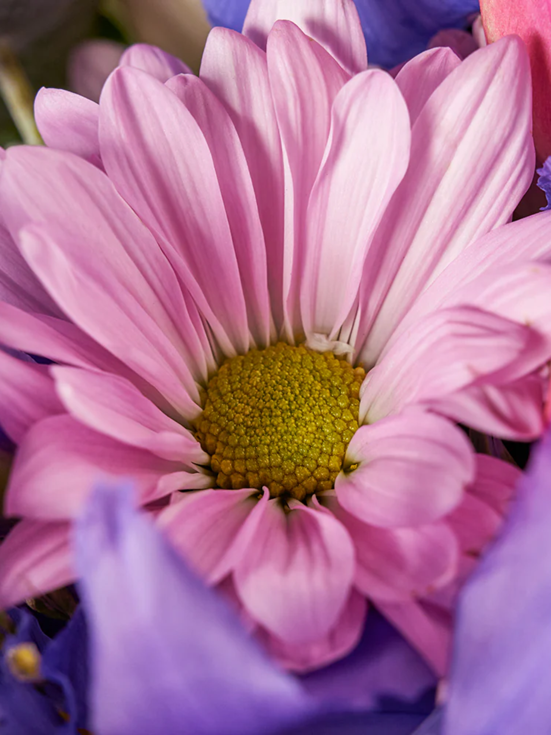 Velvet Twilight Iris Mixed Bouquet