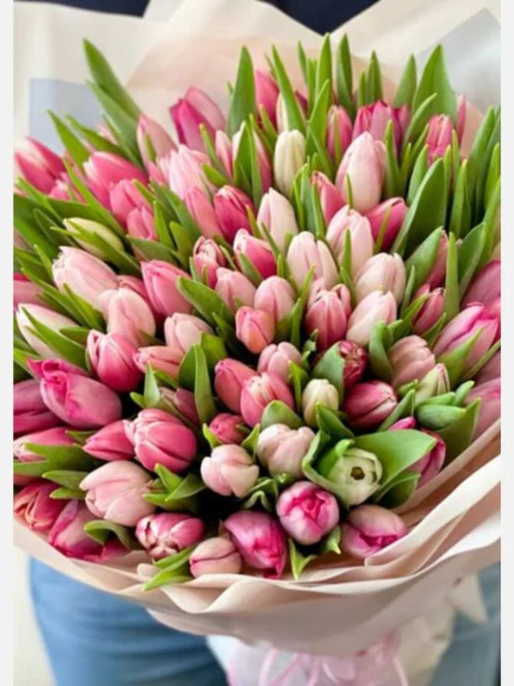 100 Luxury Pink Tulips