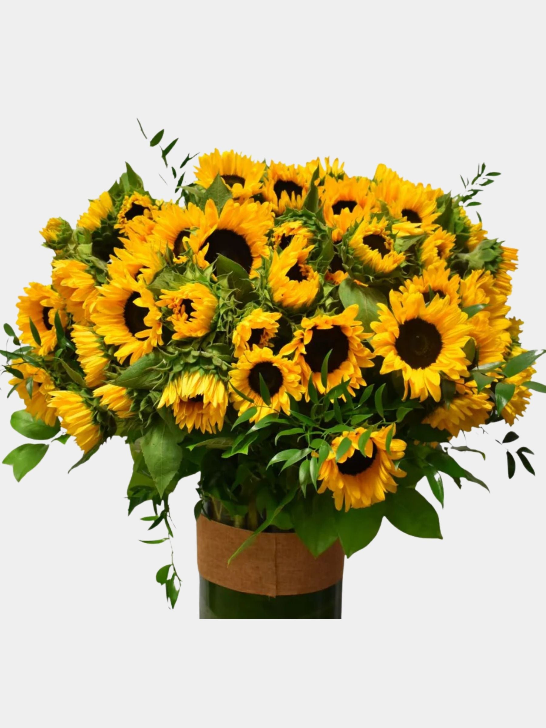 100 Sunflowers in Vase
