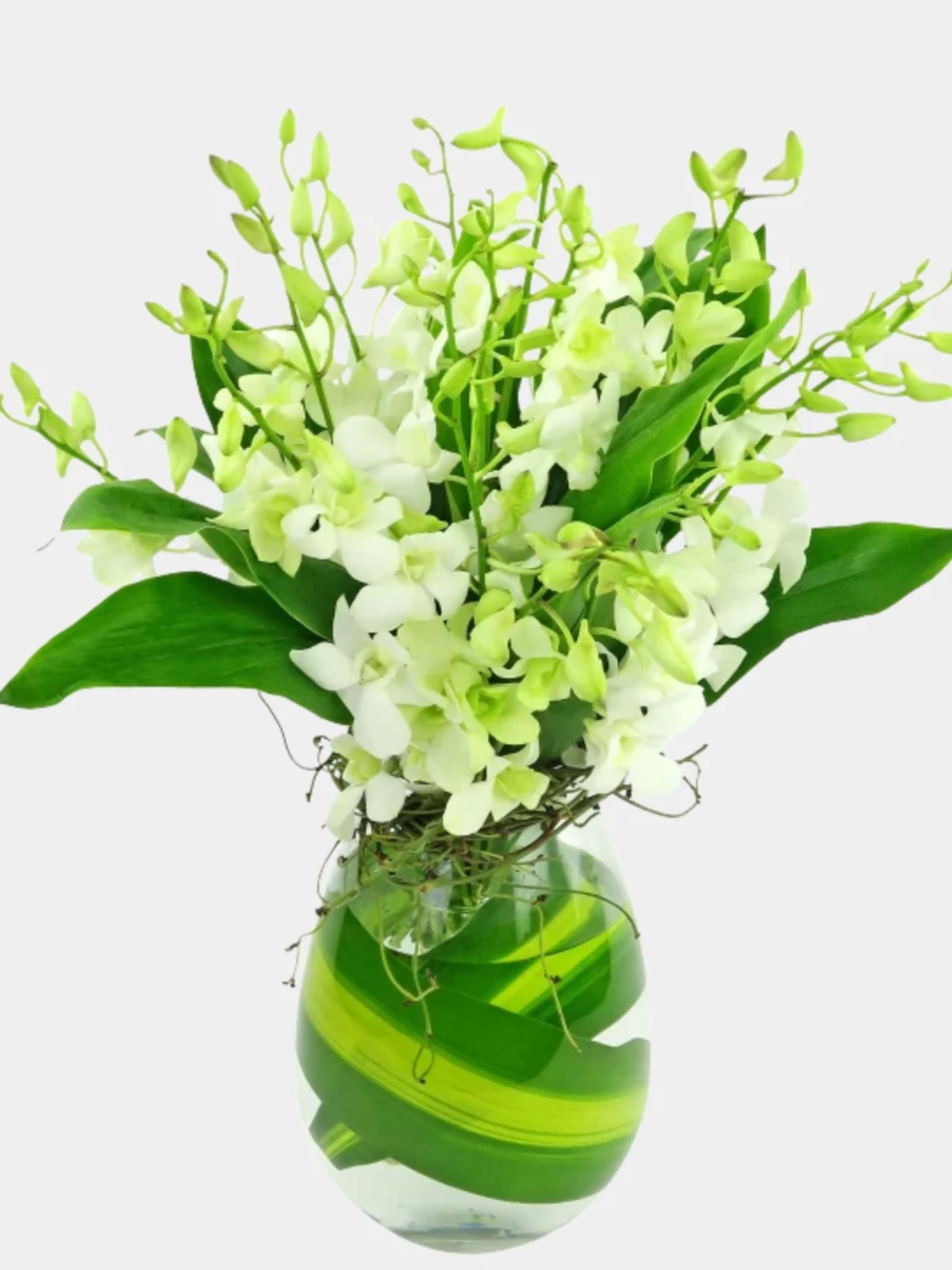 10 White Orchids in a Vase