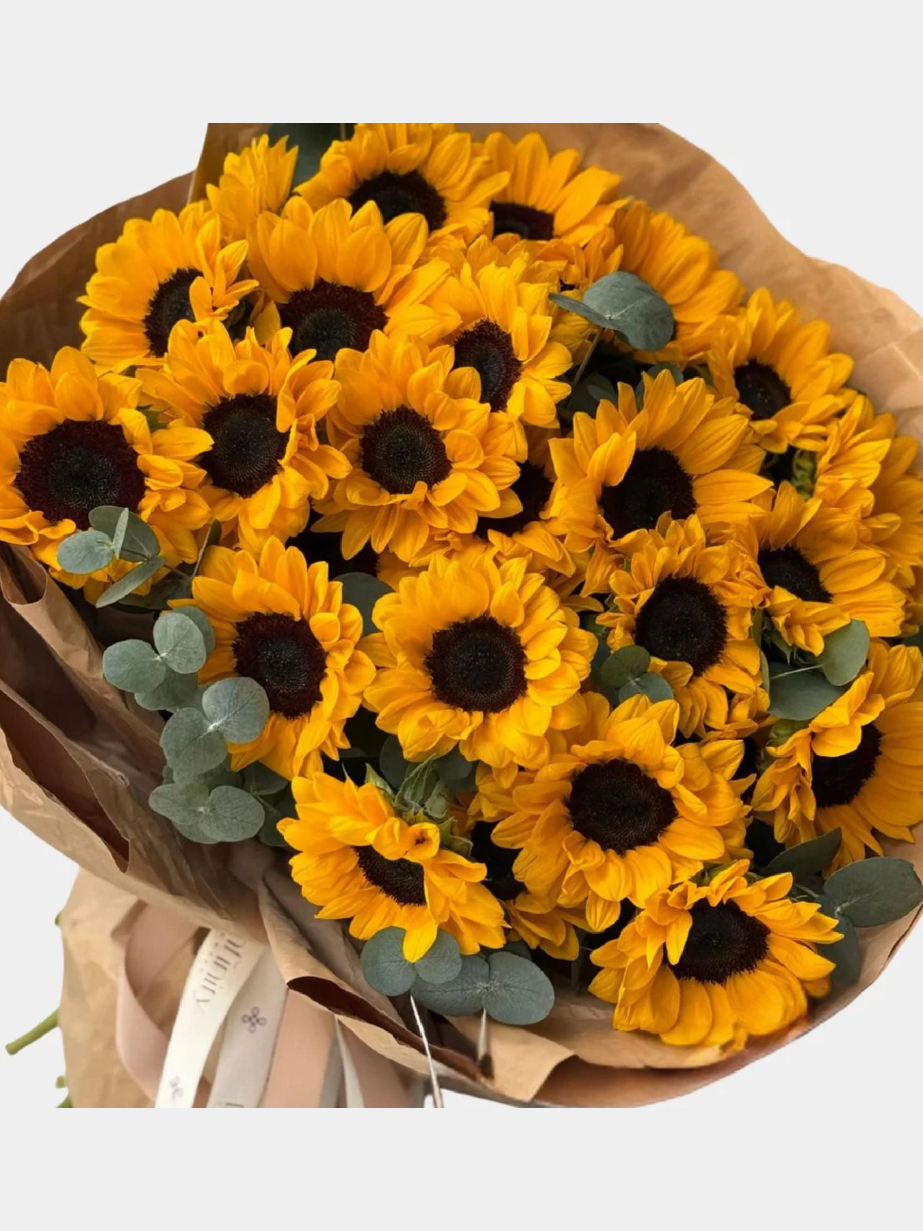 30 Fresh Cut Sunflowers Bouquet